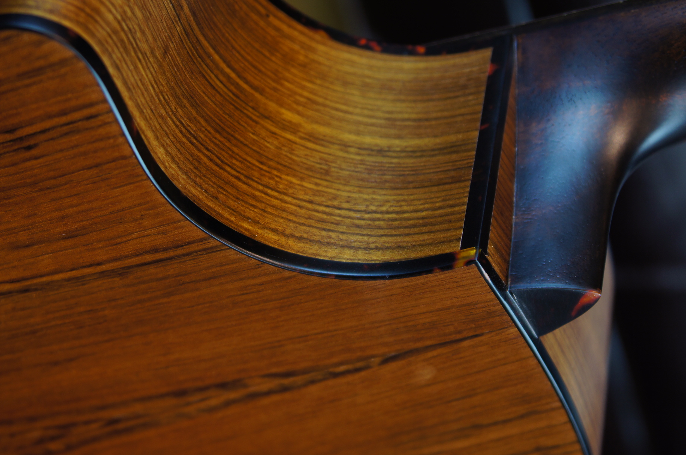 Eastman AC222CE mit Tonabnehmer inklusive Gigbag