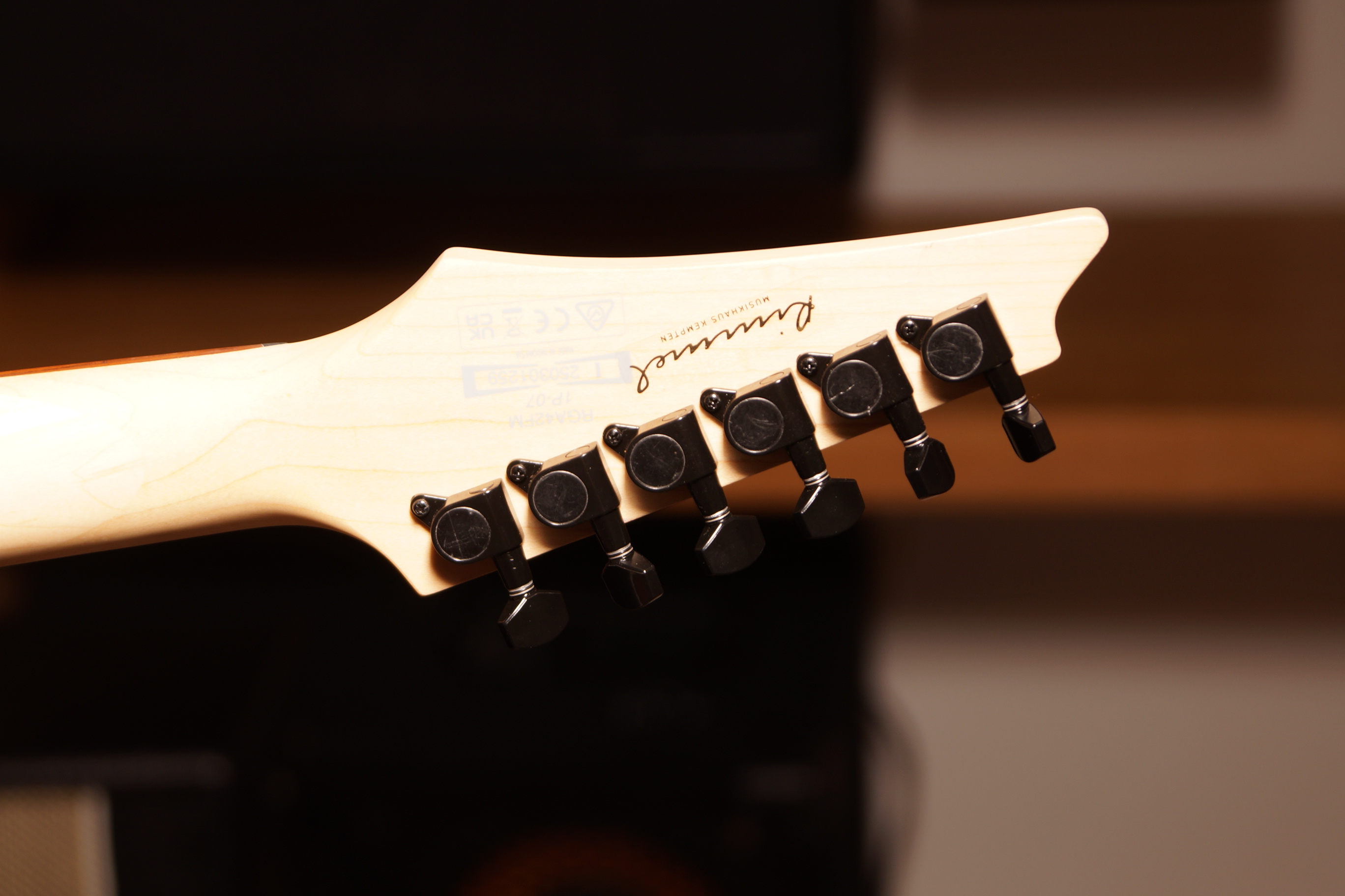 IBANEZ RGA E-Gitarre 6-String - Blue Lagoon Burst Flat