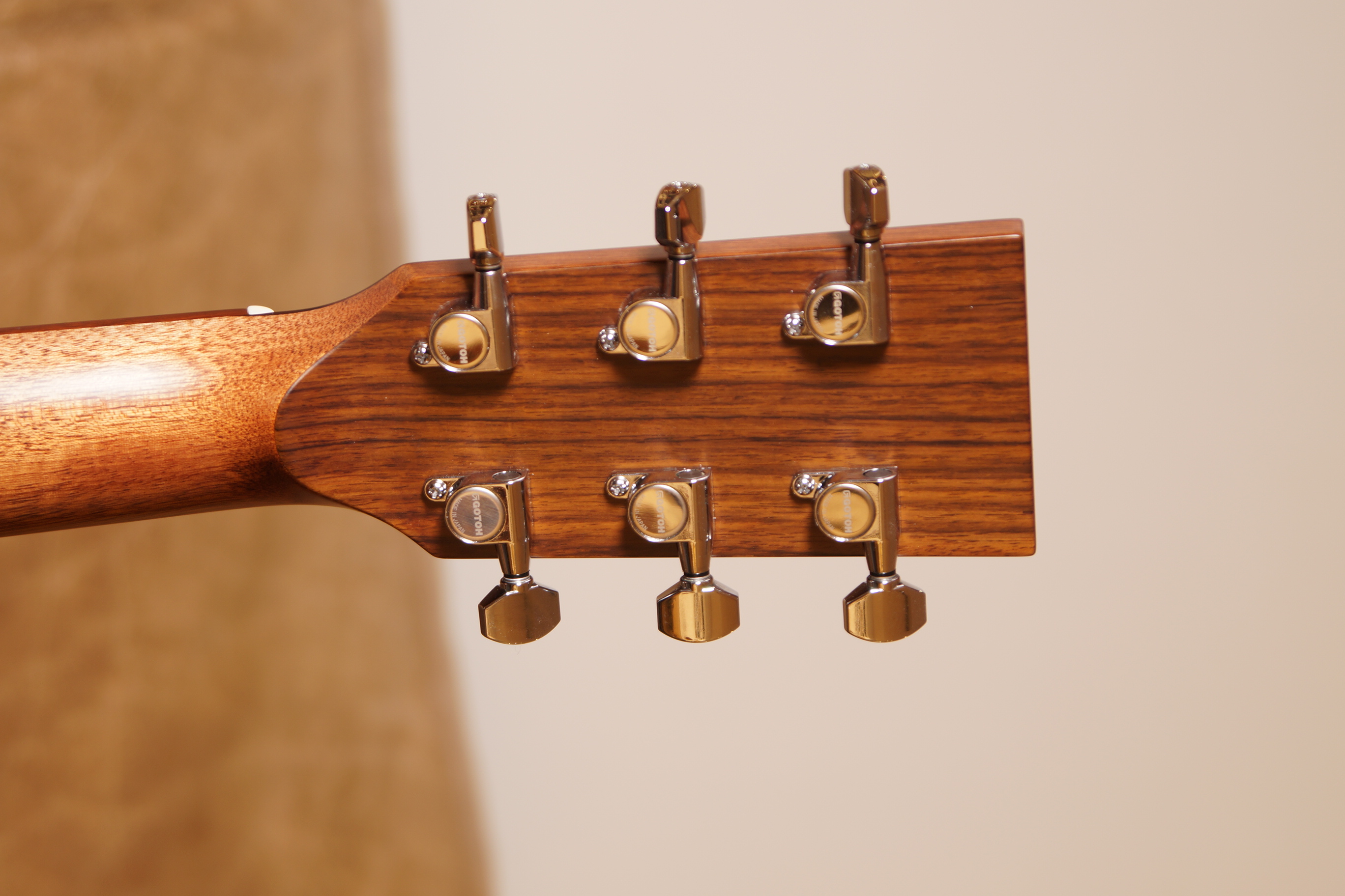 BSG D10 Dreadnought Mahagonie - Fichte  - vollmassiv - Vintage Gloss