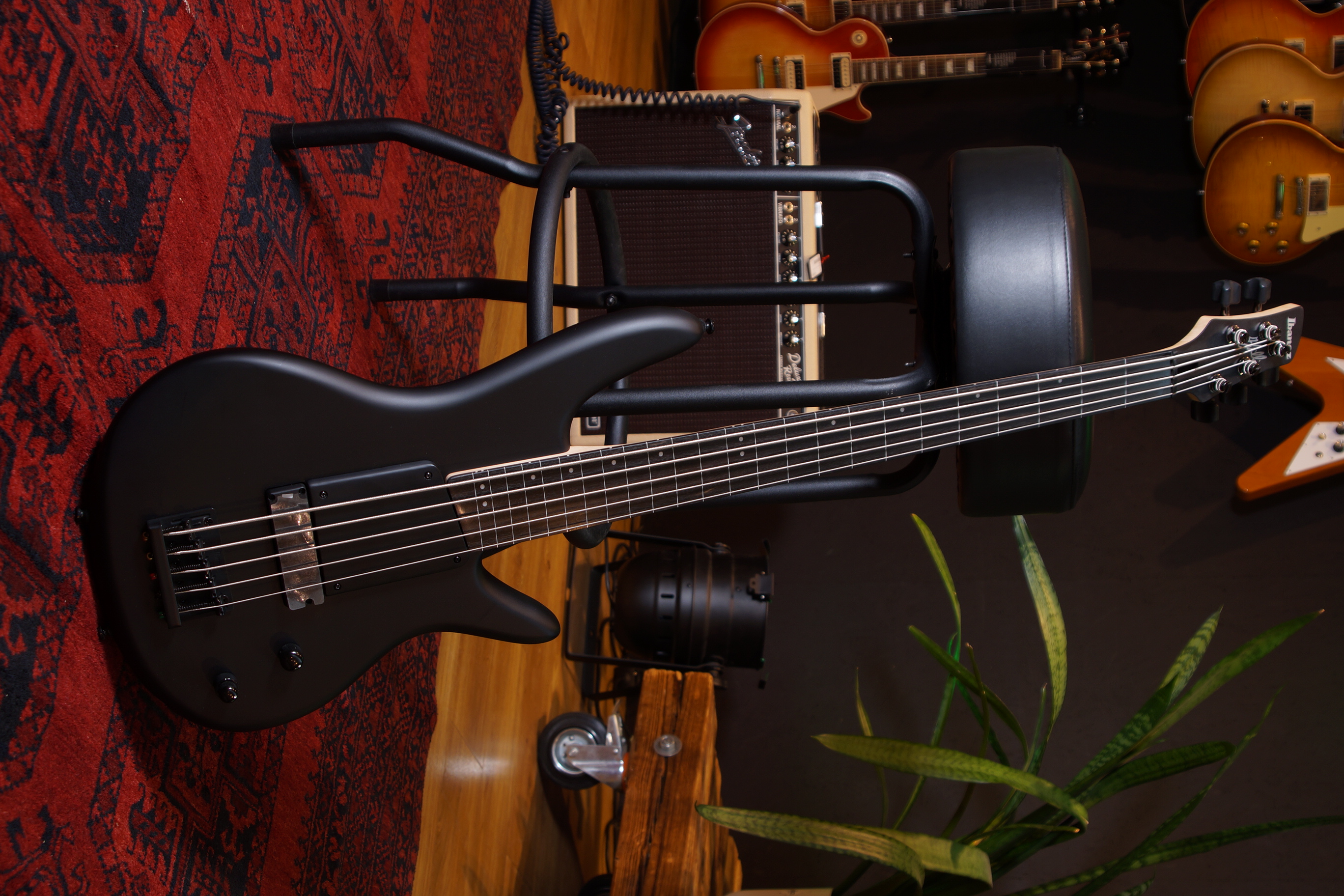 IBANEZ Gary Willis Signature E-Bass 5-String Fretless - Black Flat