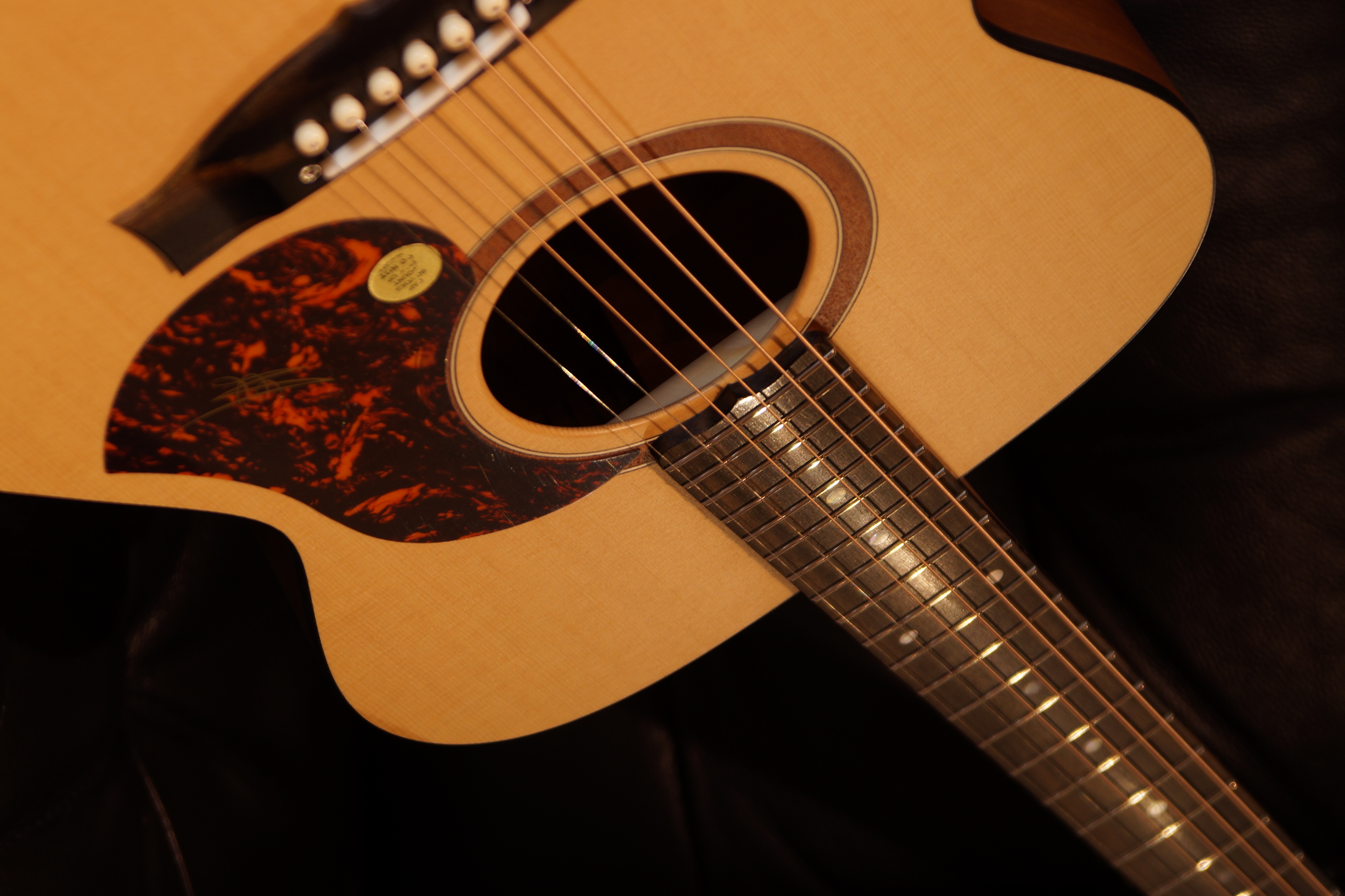 Maton SRS 808