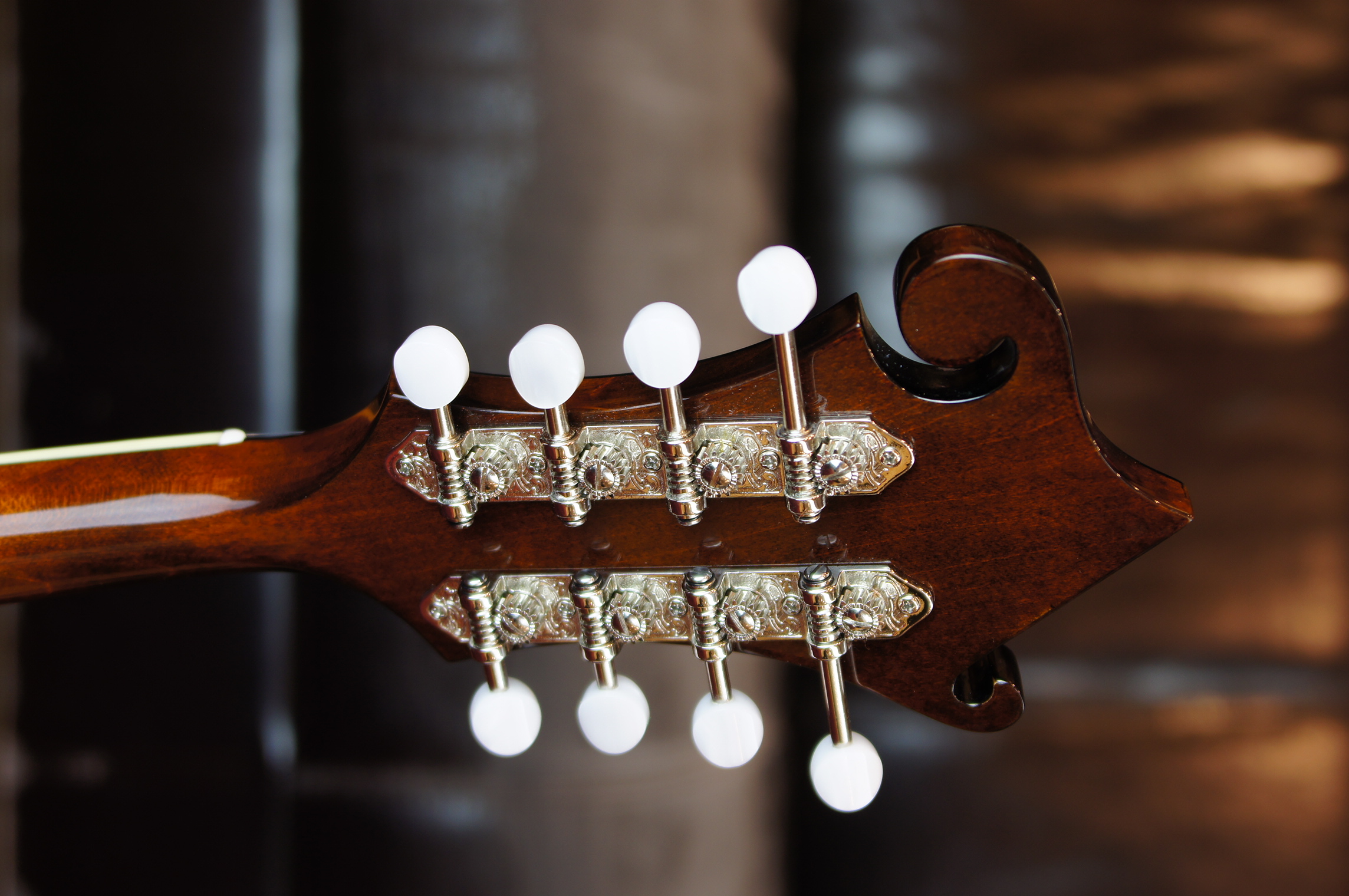 Eastman MD515 F-Style Mandoline Classic mit Case