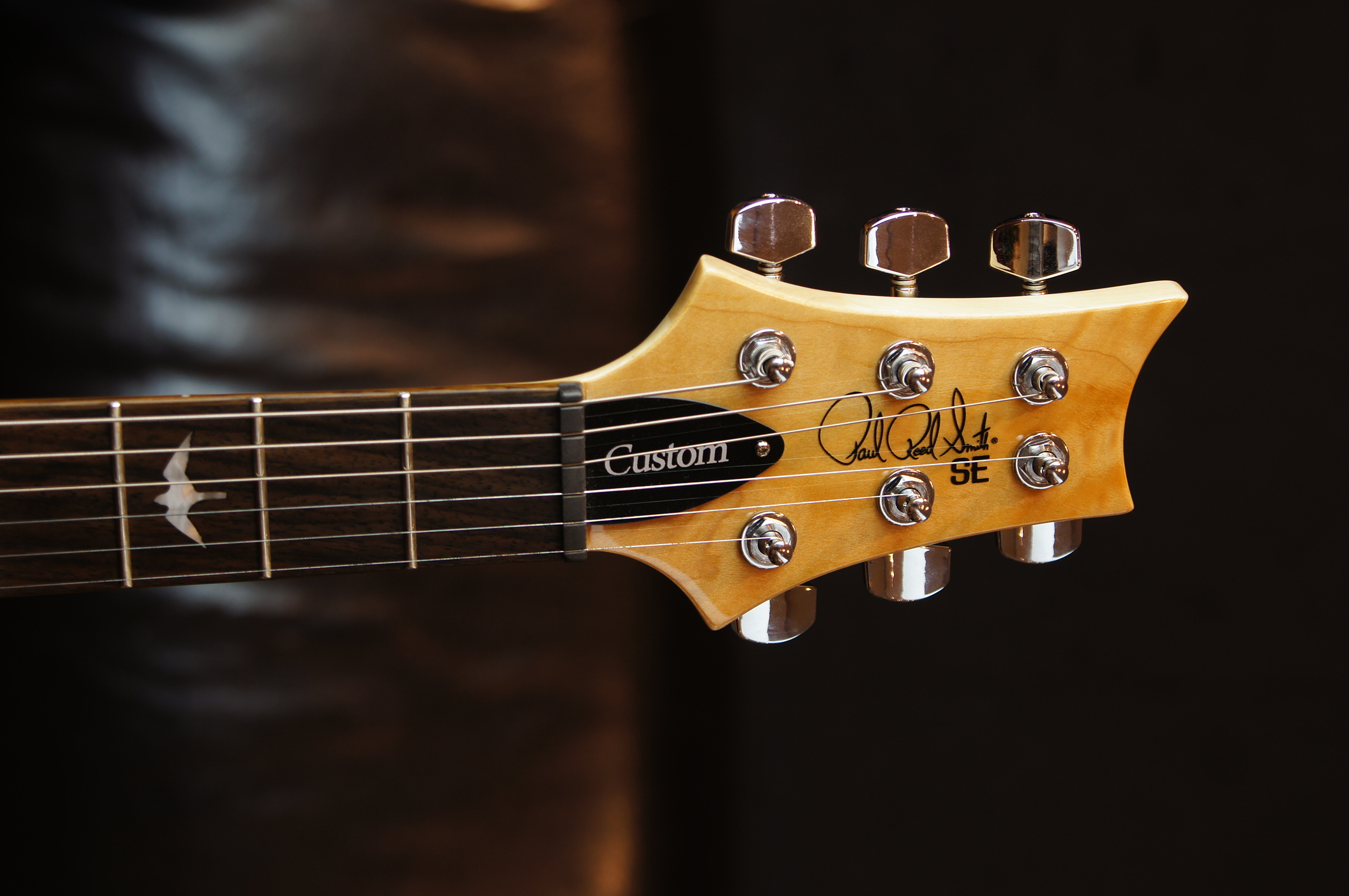 PRS SE Custom 24 - Faded Blue Burst