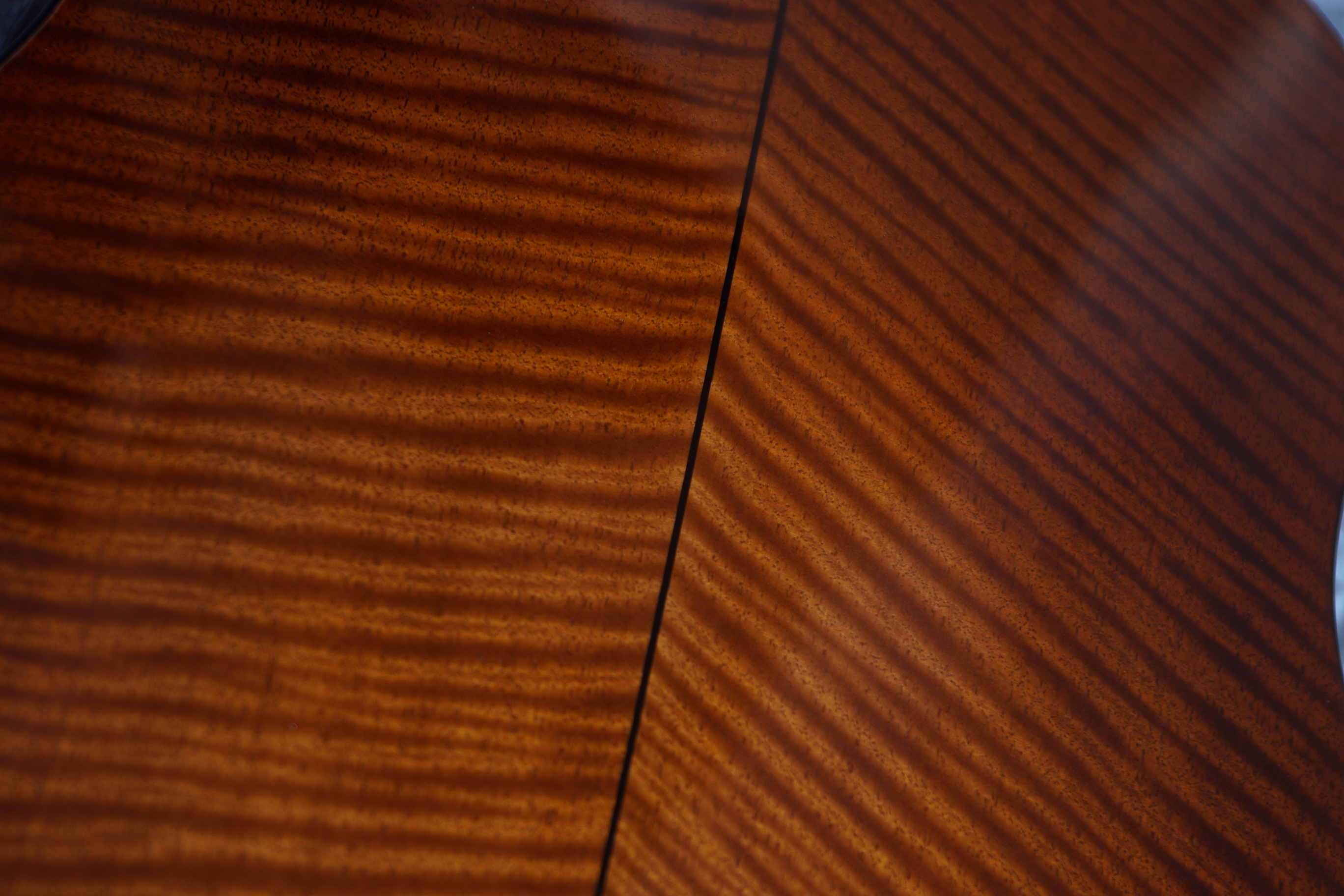 Eastman E10D-TC Thermo Cure mit Koffer