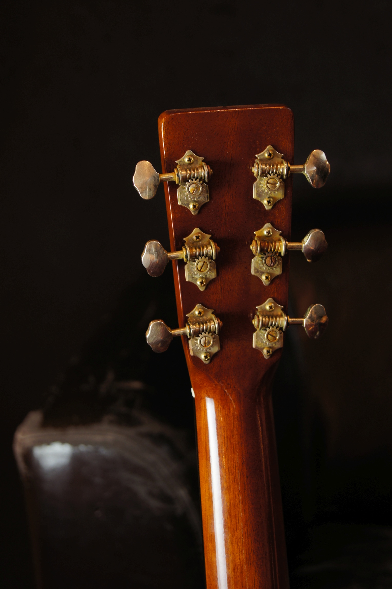 Atkin Essential OM natural aged