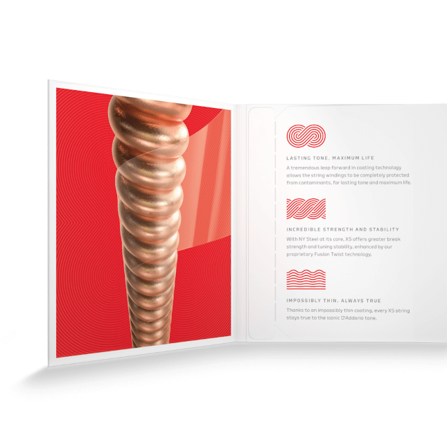 D'Addario XSAPB1356 Phosphorbronze 13-56