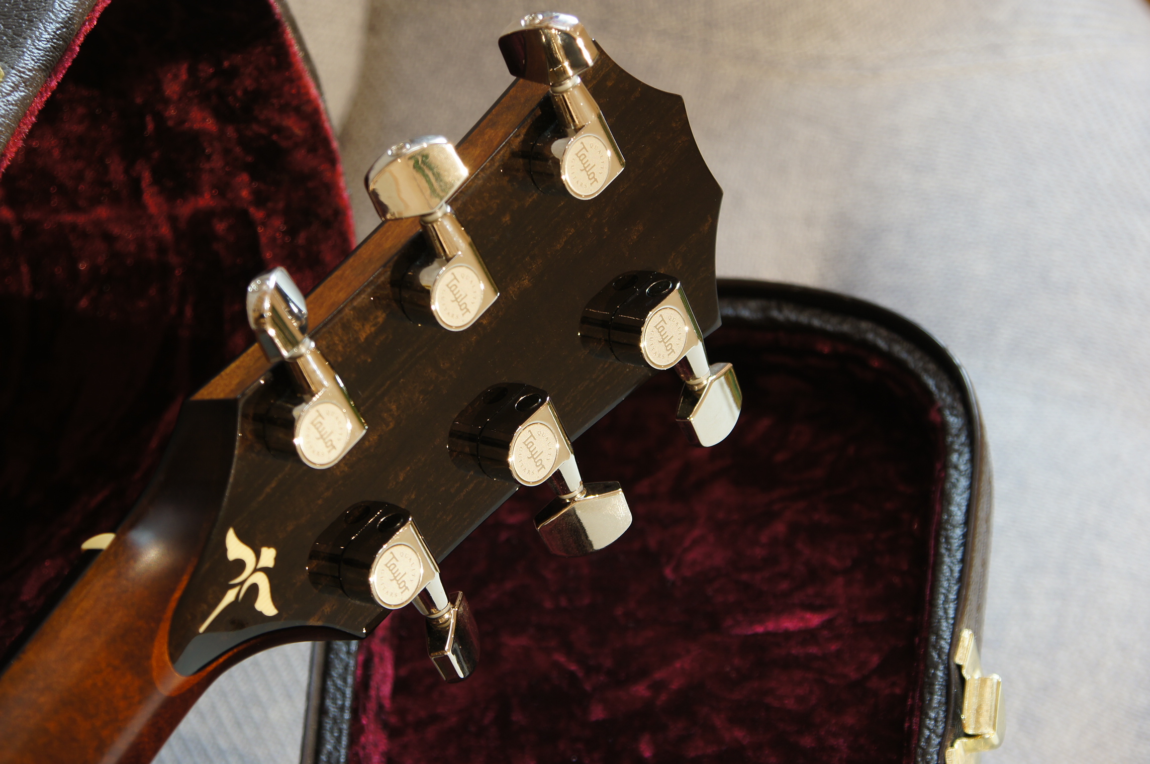 Taylor 618e Baujahr 2015 - gebraucht