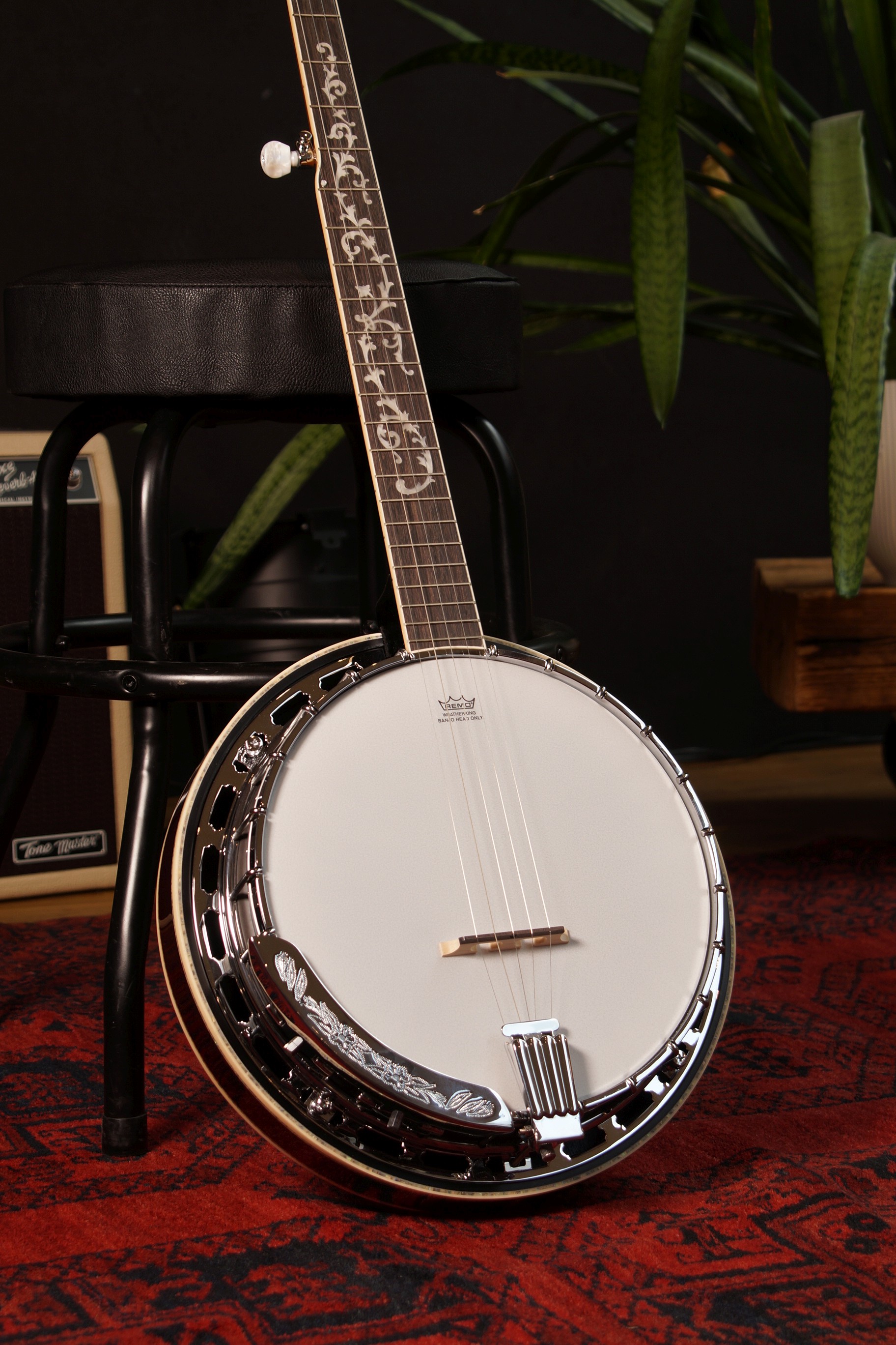 IBANEZ Banjo 5-String