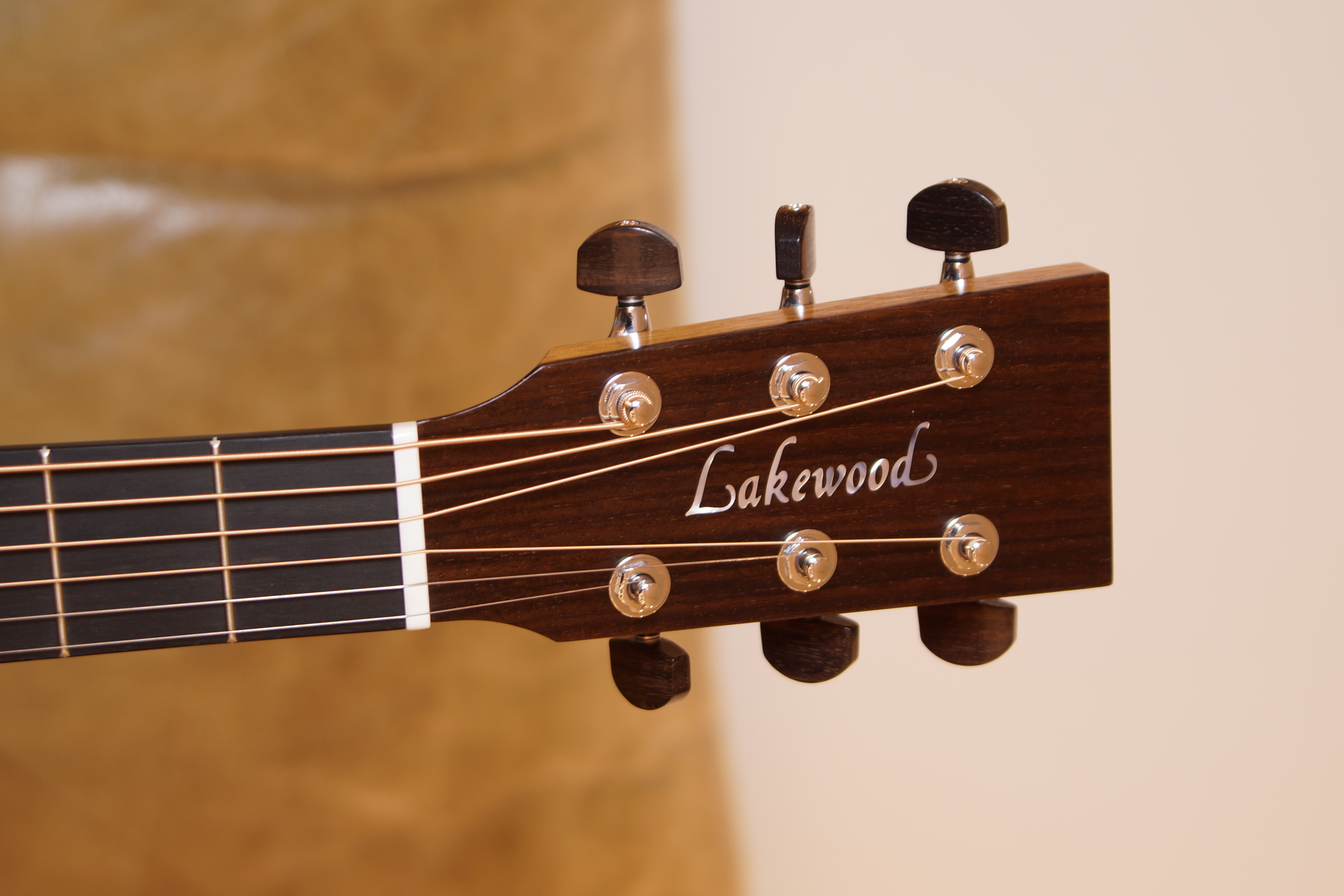 Lakewood D-14 Custom