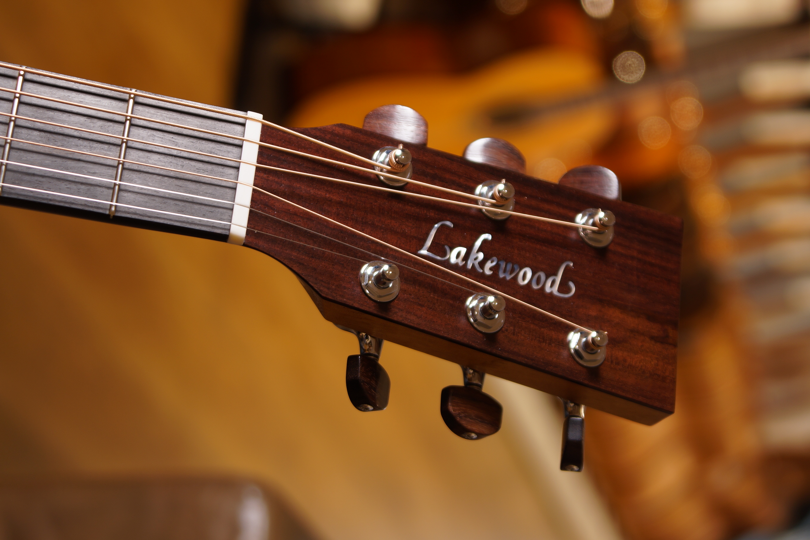 Lakewood M-31 CP Natural 2026 mit L.R.Baggs Anthem
