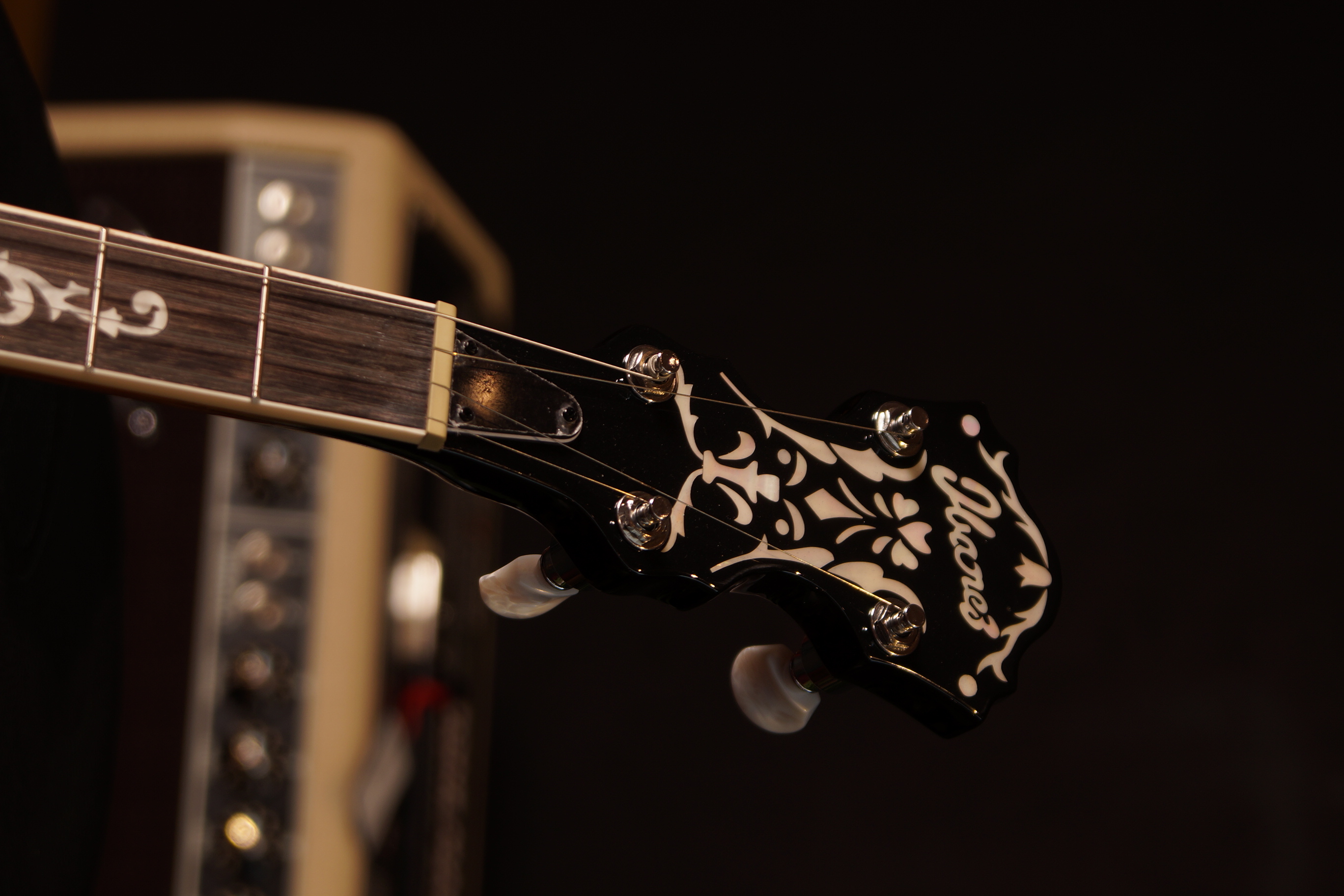 IBANEZ Banjo 5-String