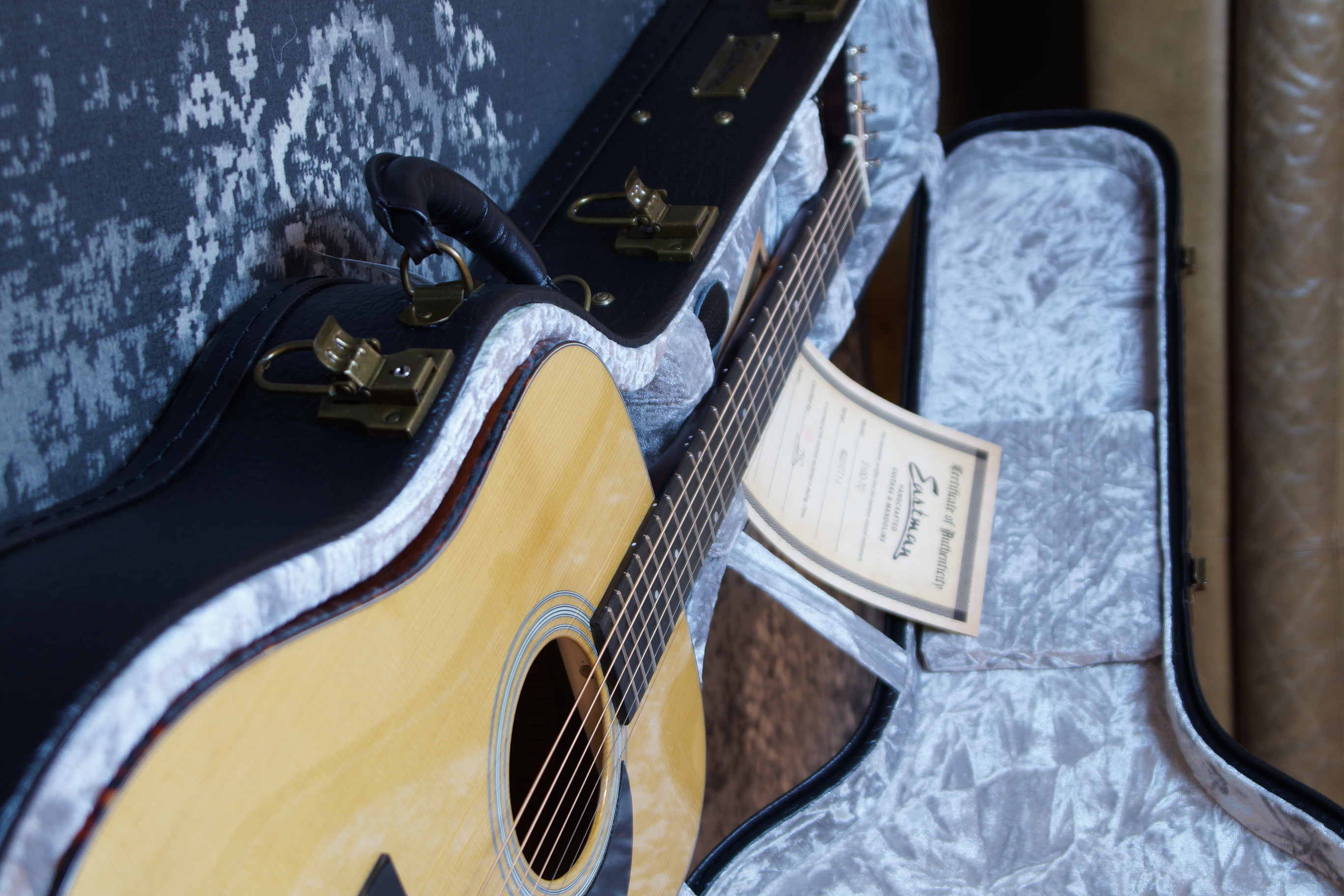 Eastman E10D-TC Thermo Cure mit Koffer