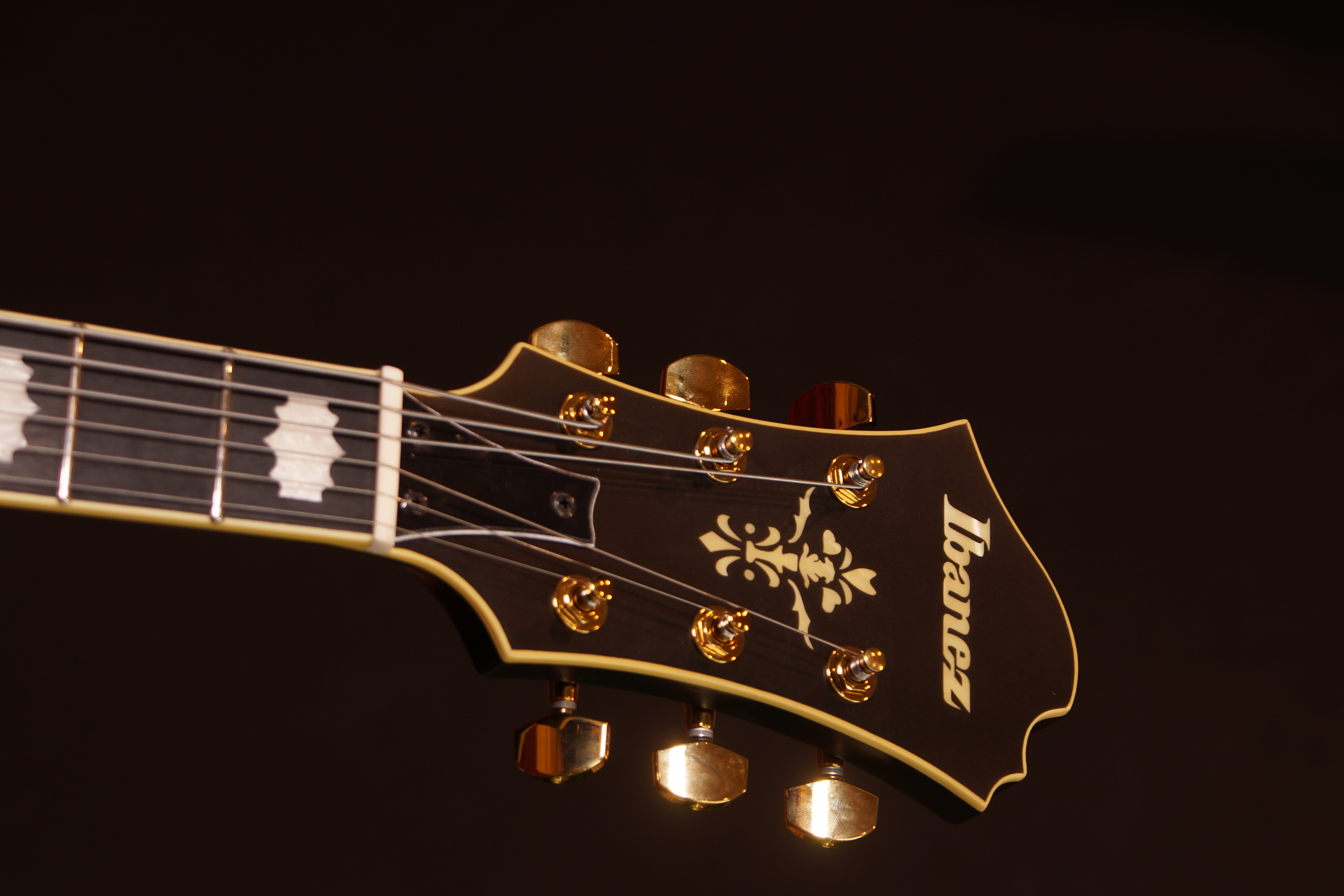 IBANEZ Pat Metheny Signature Black Low Gloss + Koffer, B-Stock