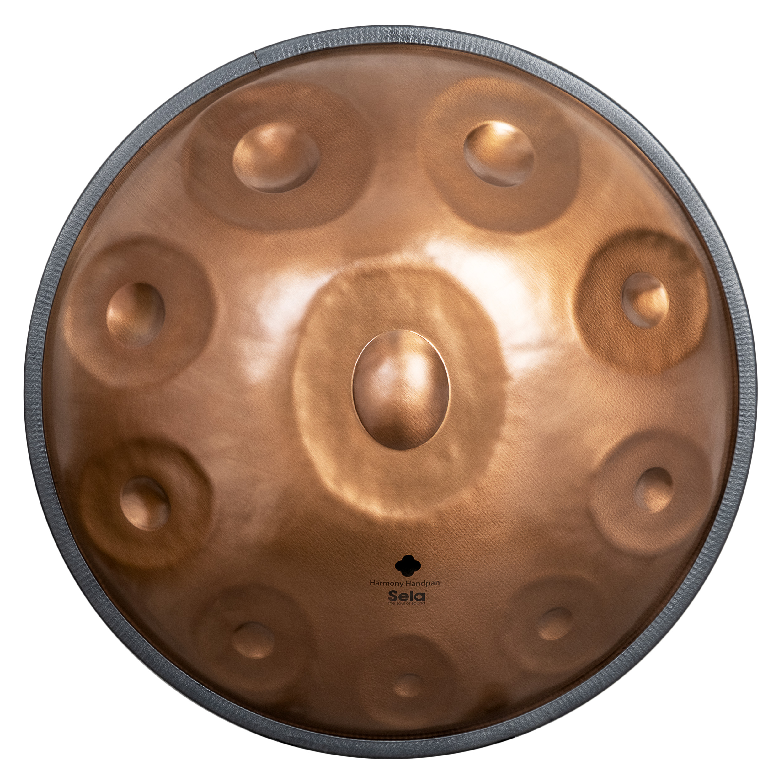 SELA SE 320 Harmony Handpan D Kurd 10 Phoenix Steel