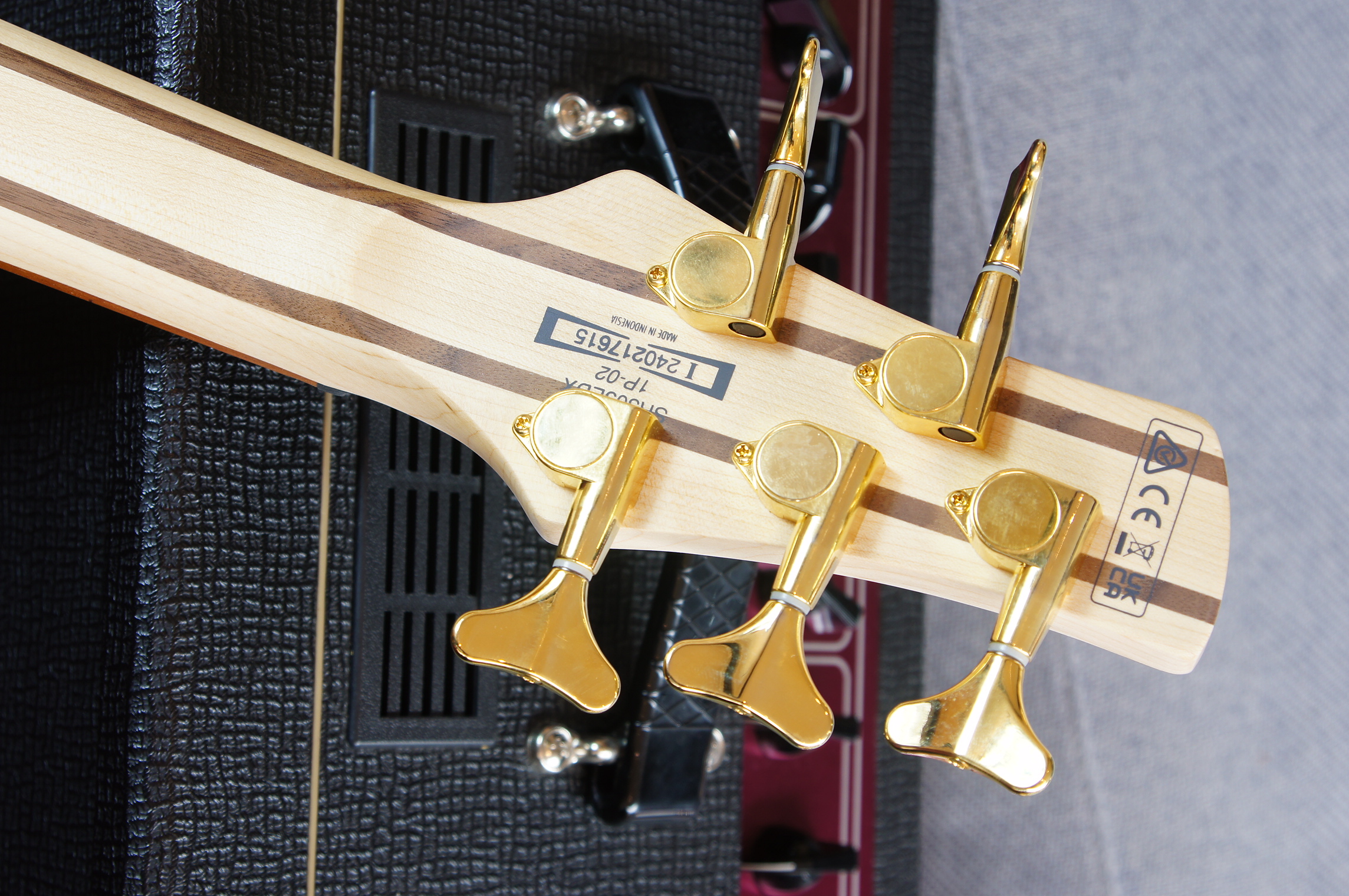 IBANEZ SR 5-Str Black Ice Frozen Matte