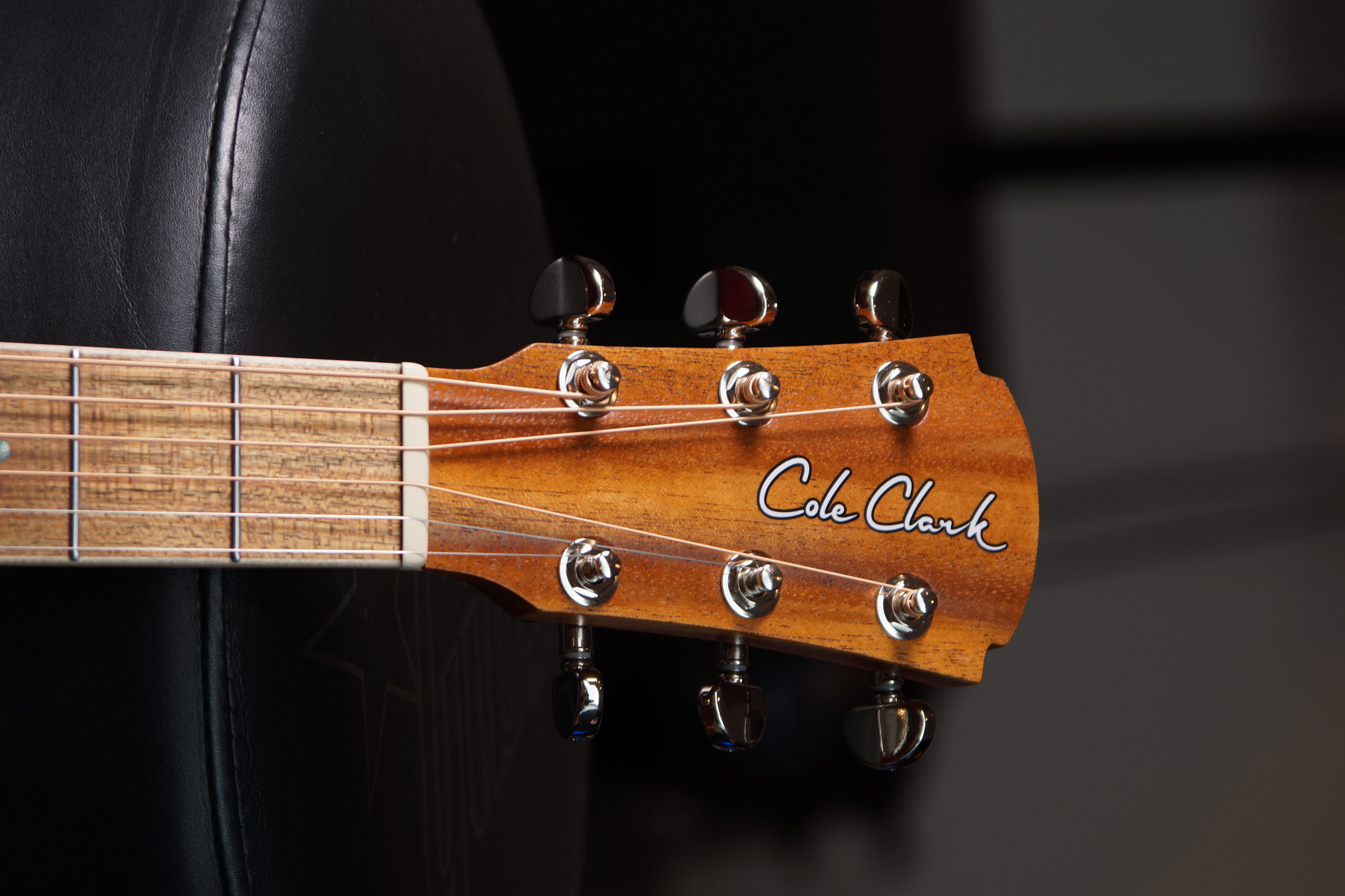 Cole Clark Sudio GA - SAN1EC-BM