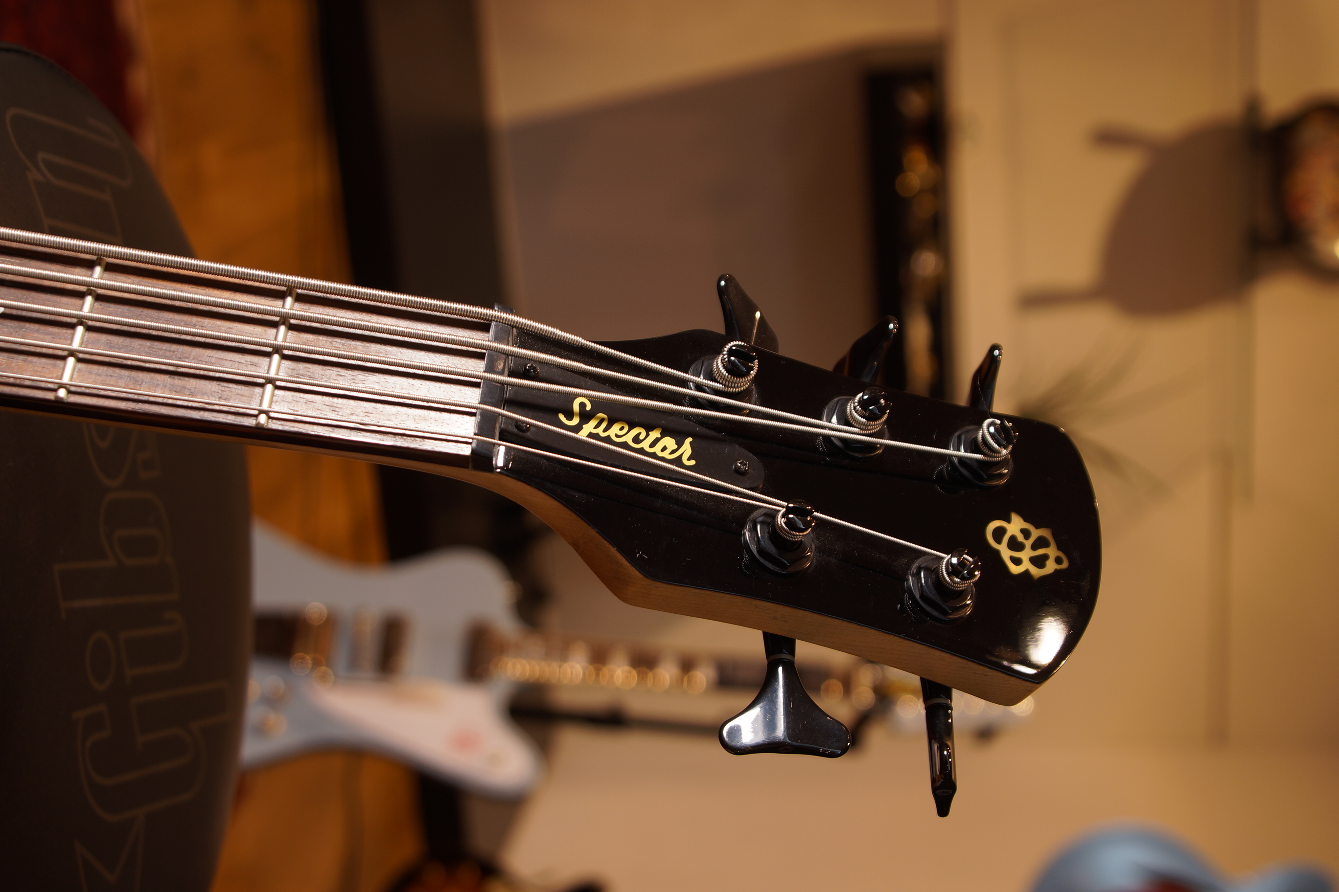 Spector Euro 5 transparent red fade mit Gigbag gebraucht