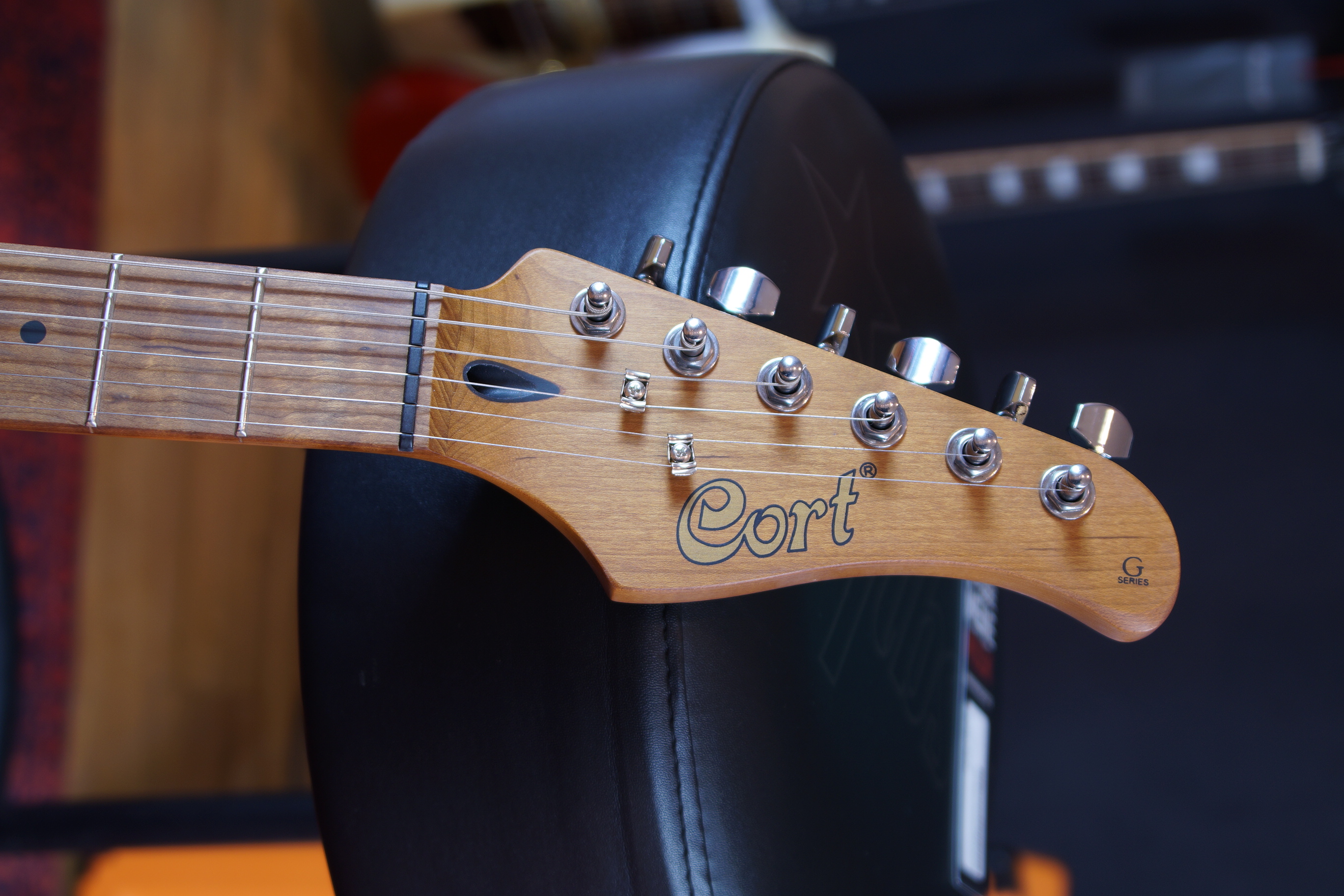 CORT E-Gitarre G250 SE Black