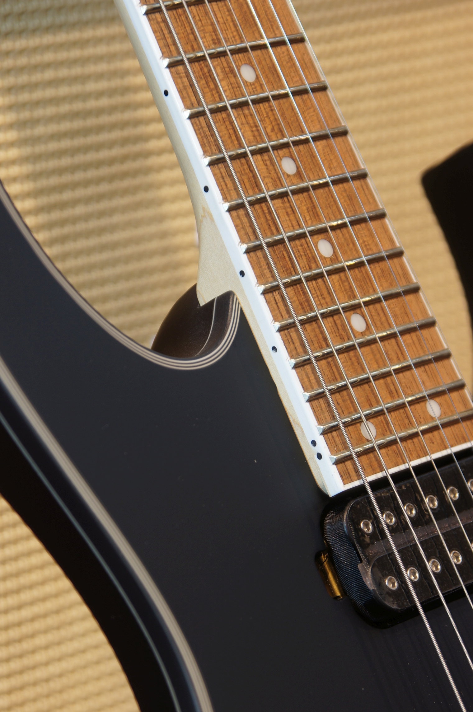 IBANEZ RG 7-Str Black Flat Flyod Rose - B-Ware