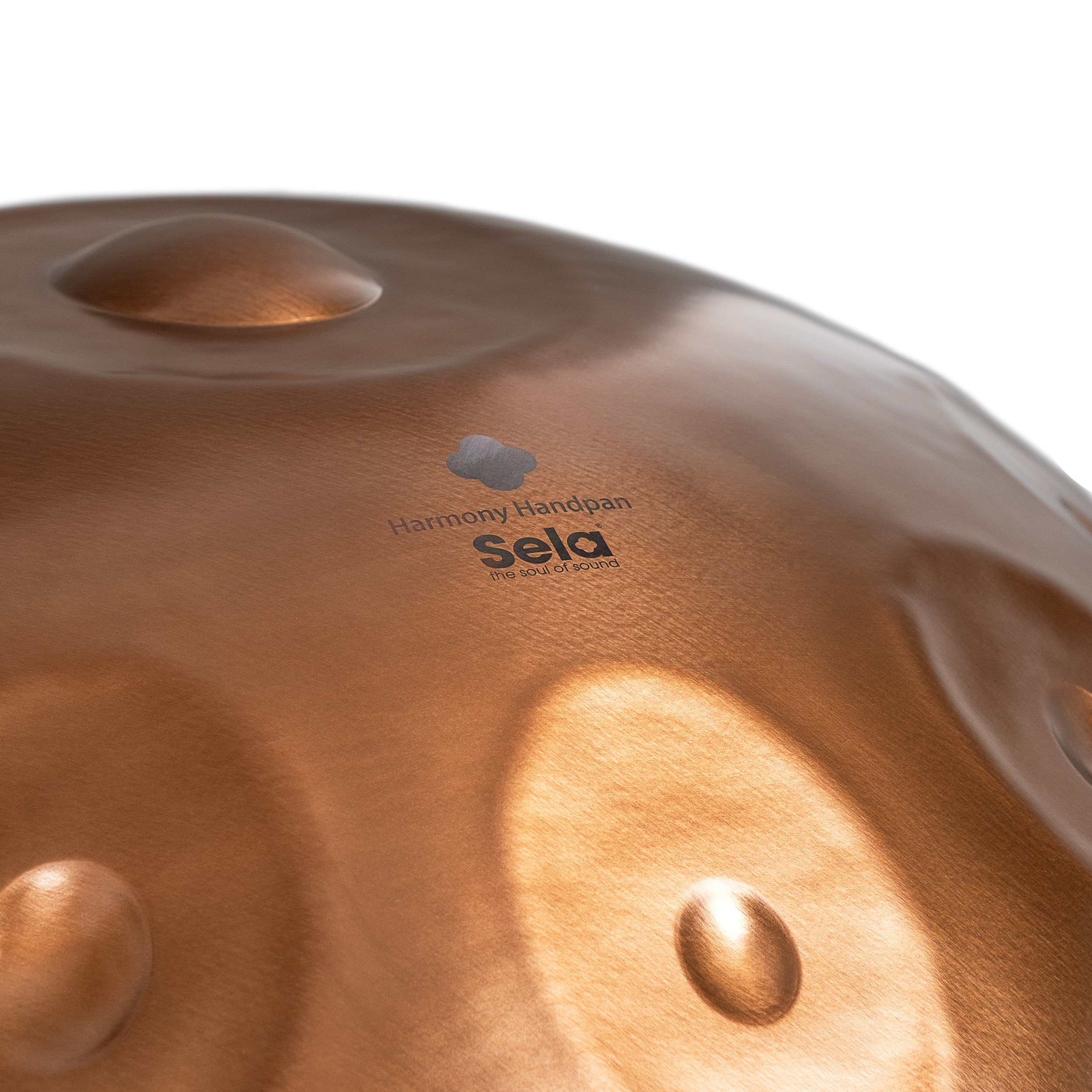 SELA SE 320 Harmony Handpan D Kurd 10 Phoenix Steel