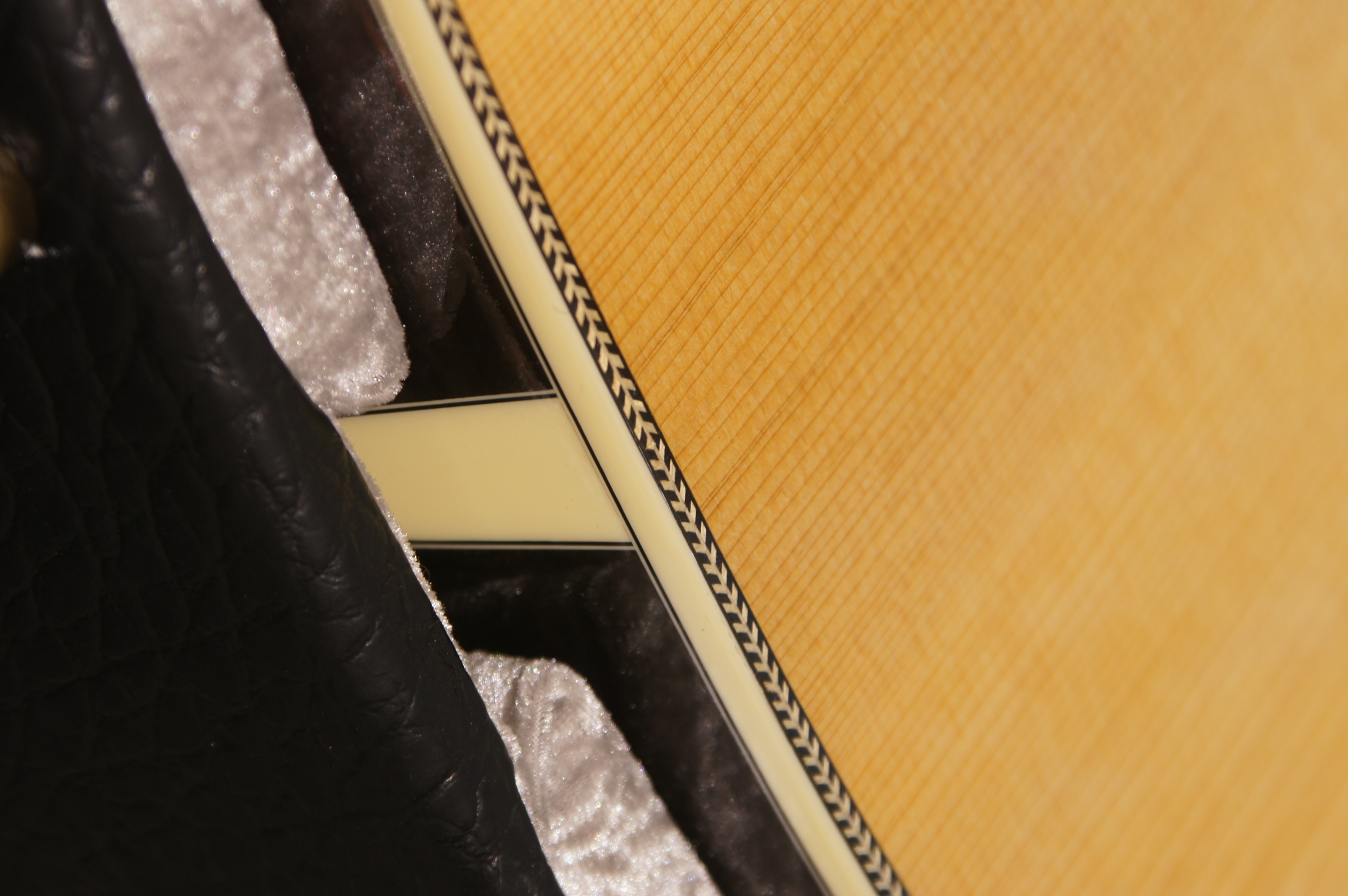 Eastman E20OM-TC Thermo Cure mit Koffer