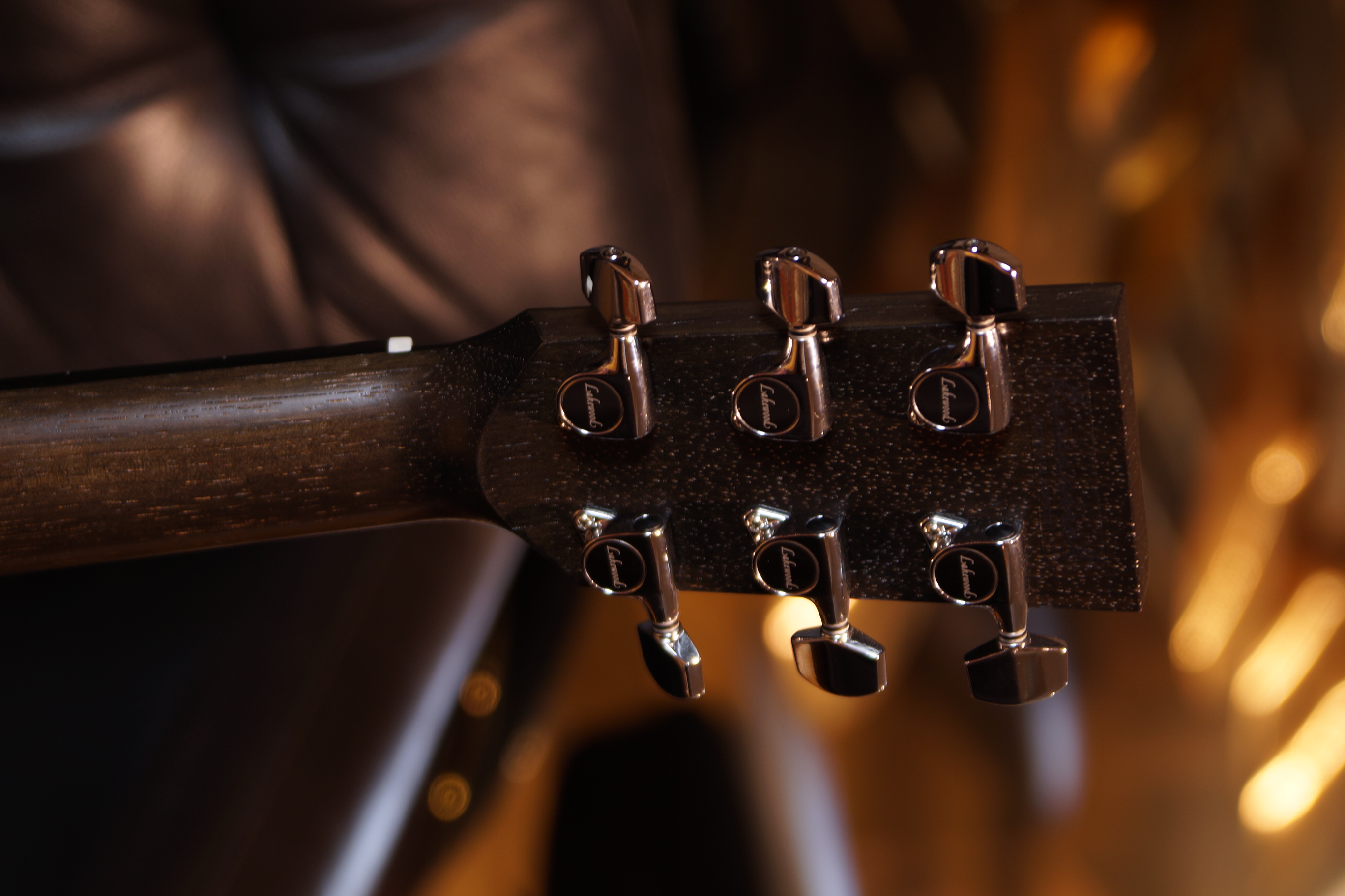 Lakewood Black Sheep mit L.R.Baggs Stage Pro Element und Gigbag