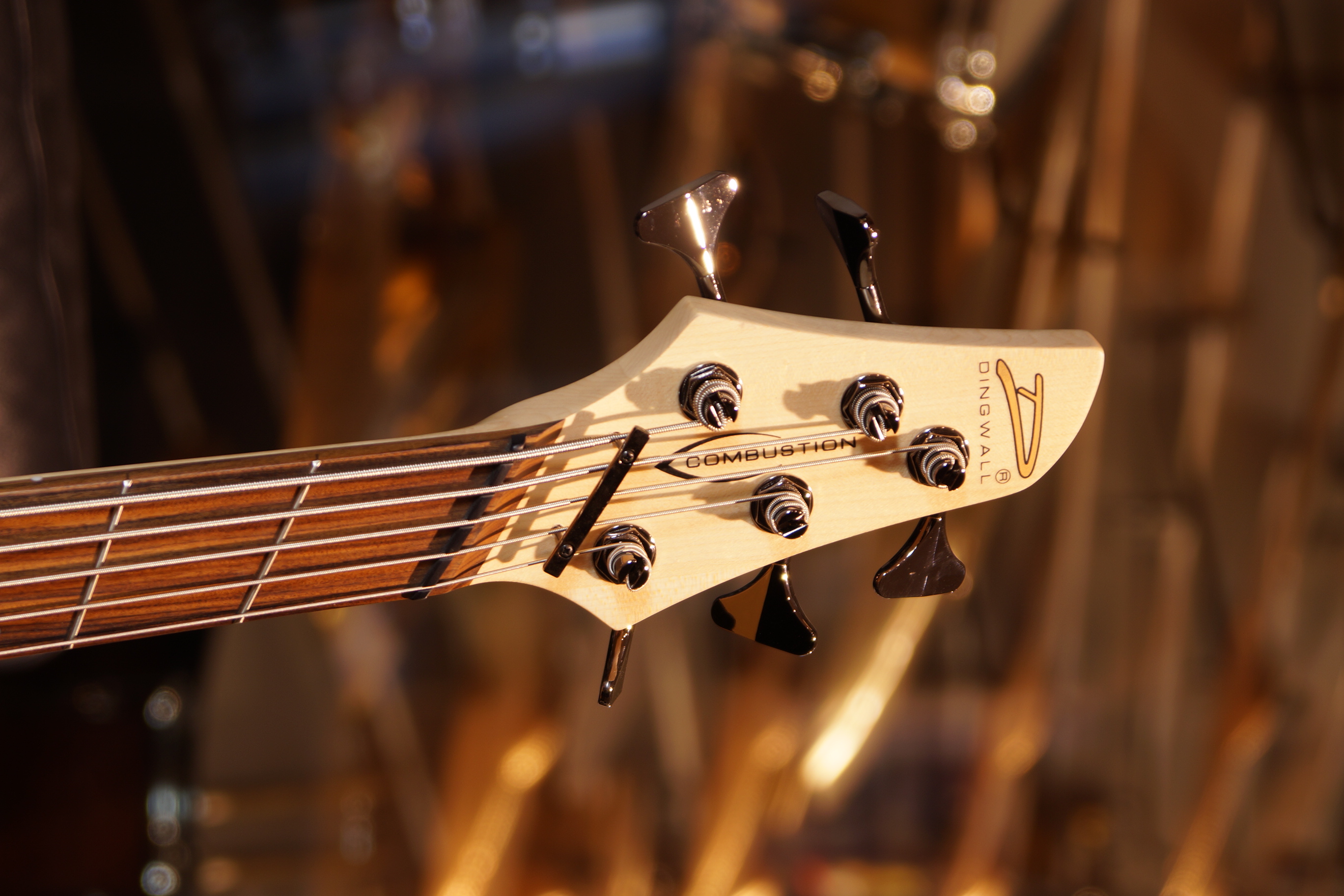 Dingwall Combustion 5 String Whalepool Burst