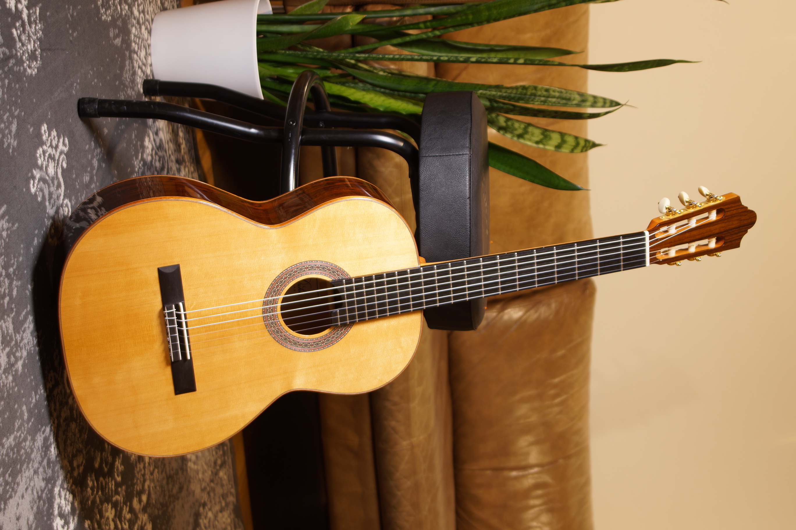 Duke Student BT - Bocote/Thermofichte