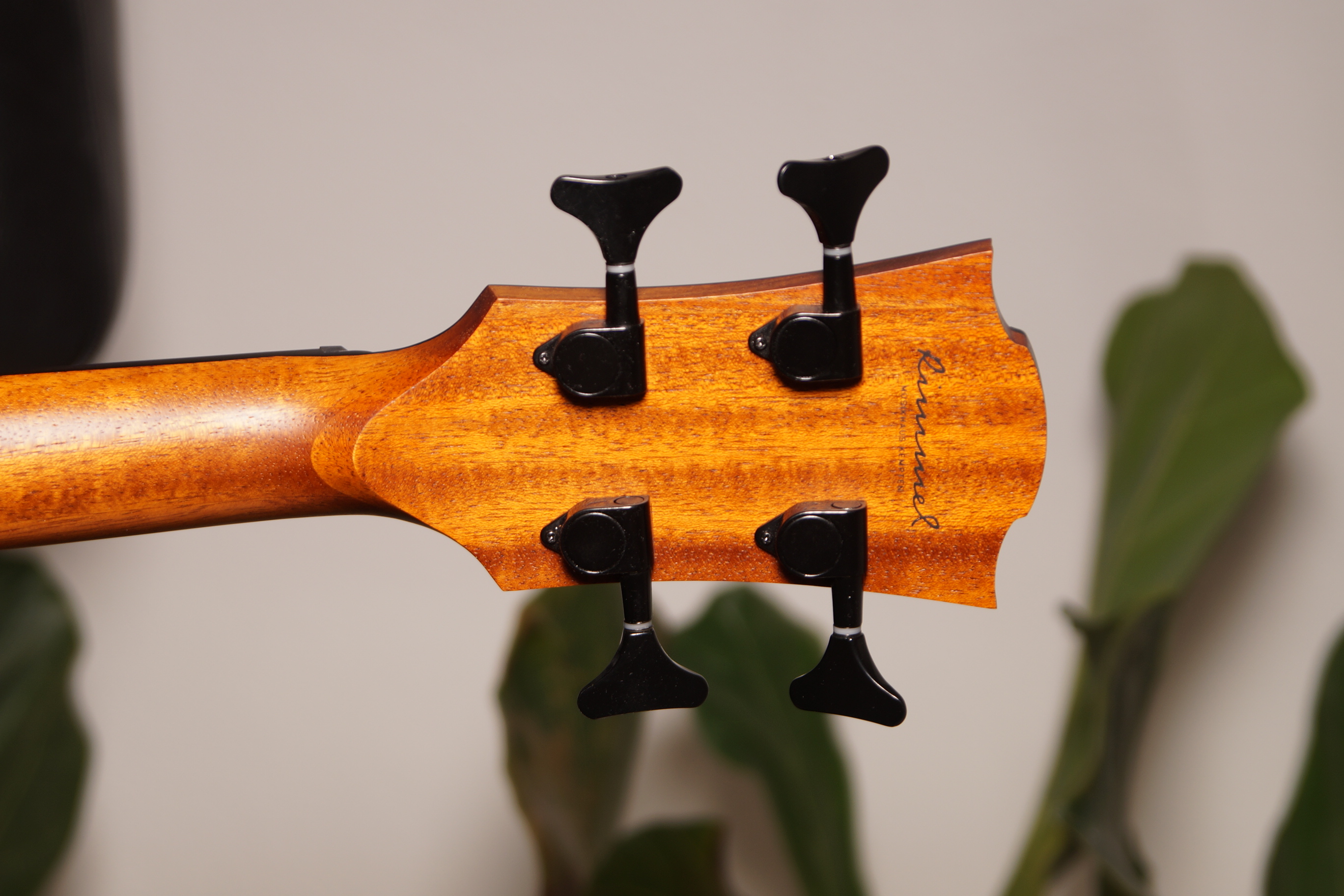 LAG SAUVAGE-BCE Accoustic Bass mit Gig Bag