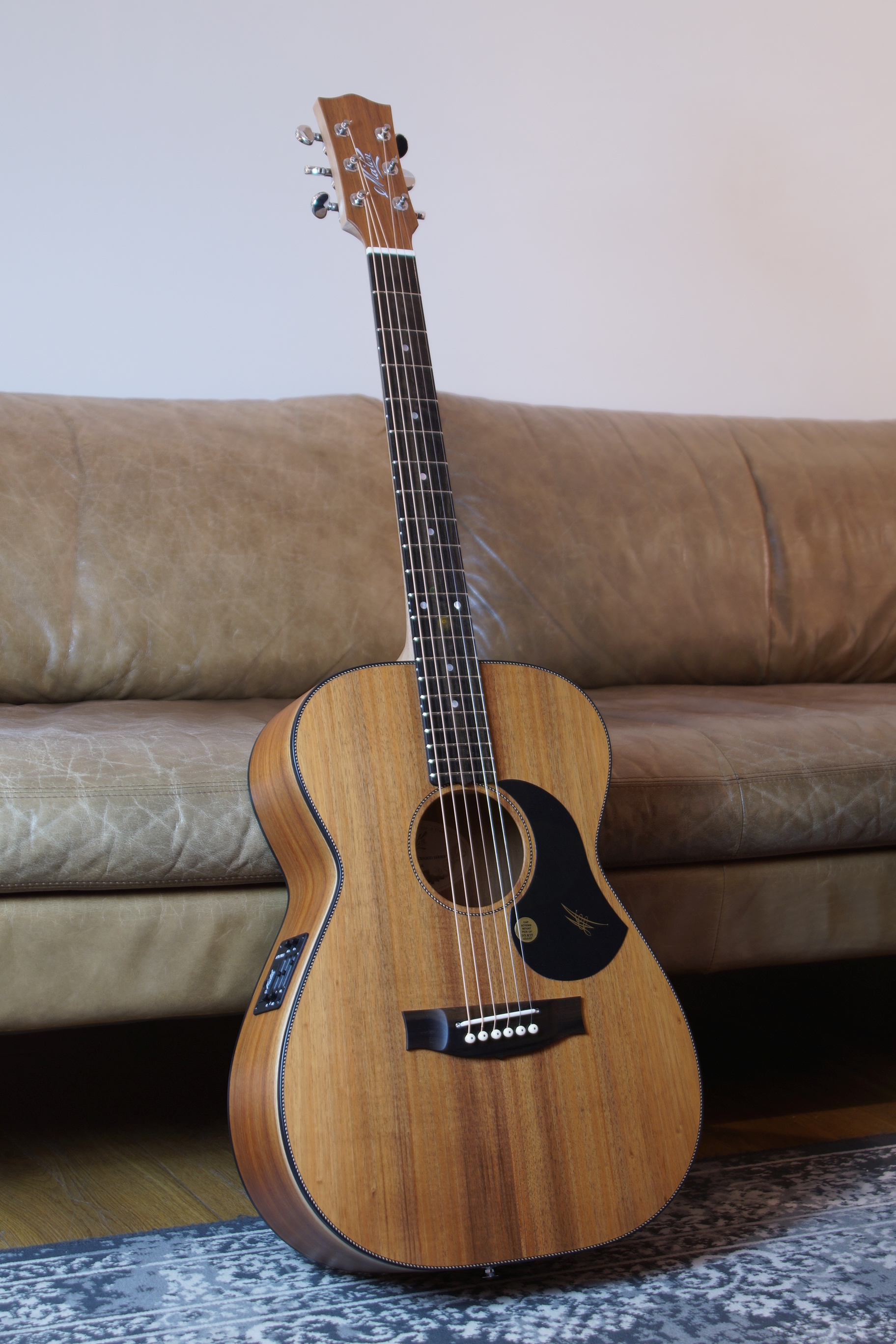 Maton EBW 808