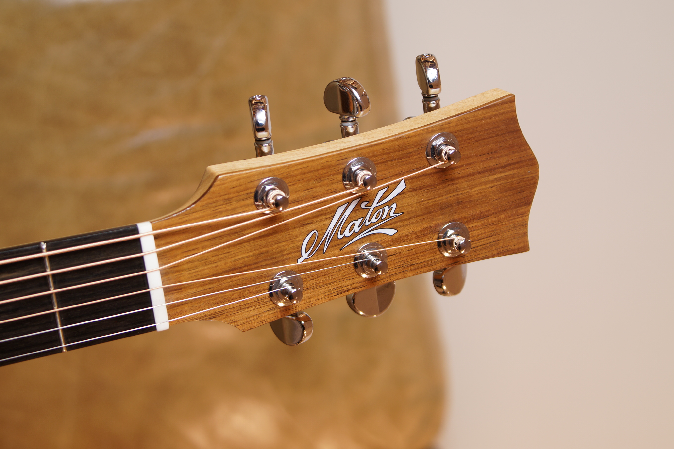 Maton SRS 60