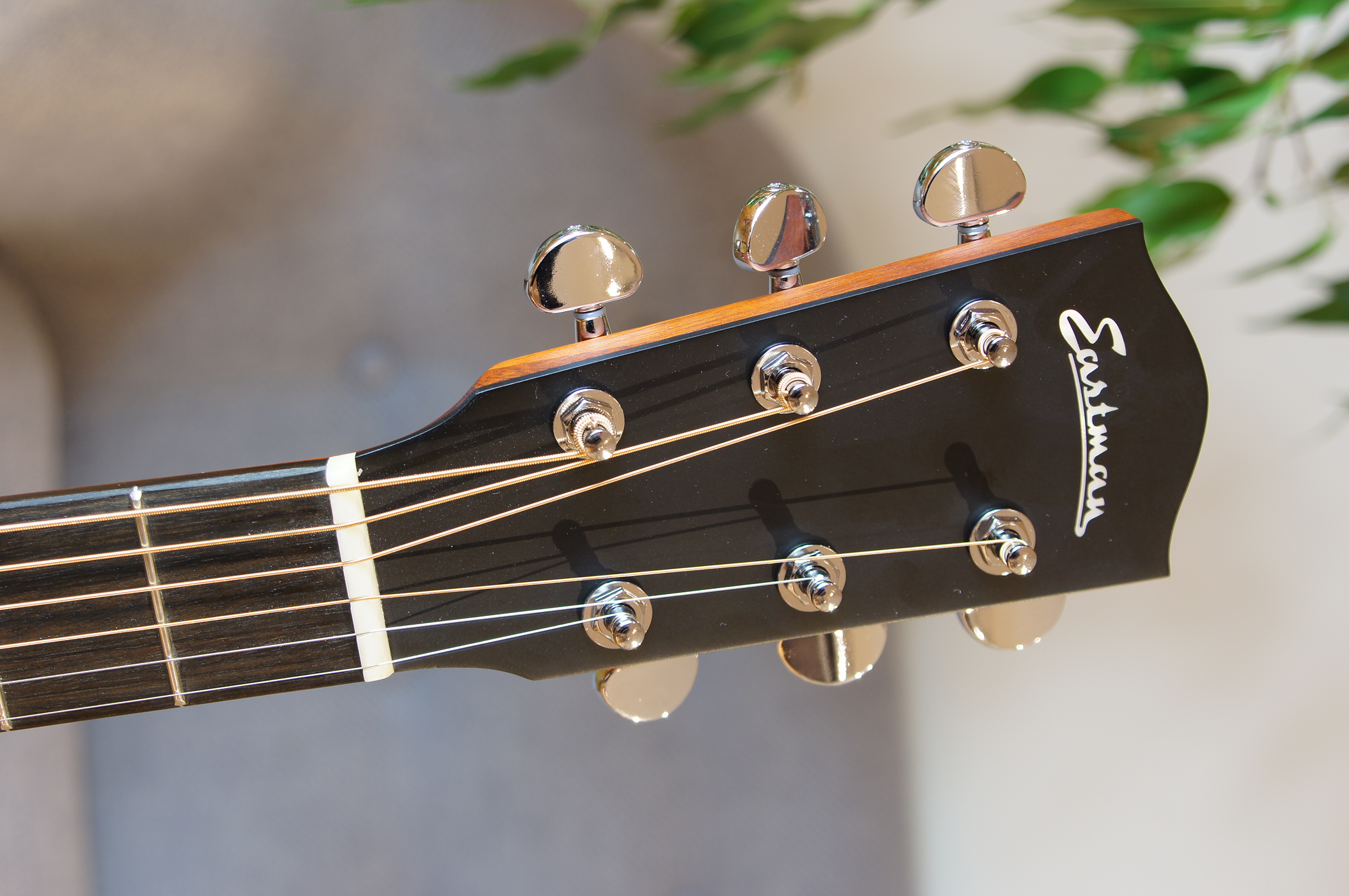 Eastman AC122-1CE classic inklusive Gigbag