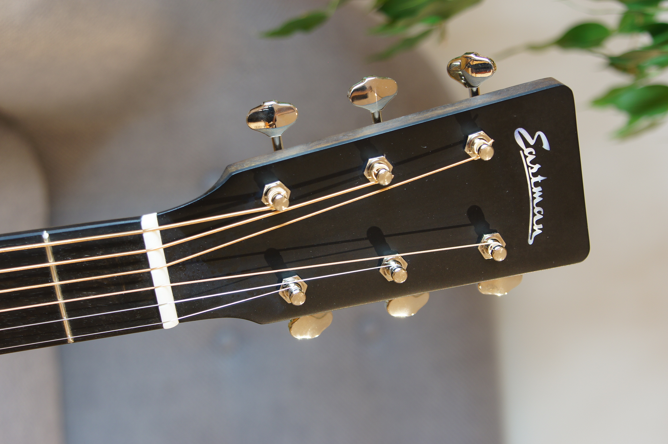 Eastman E3OME mit Tonabnehmer inklusive Gigbag