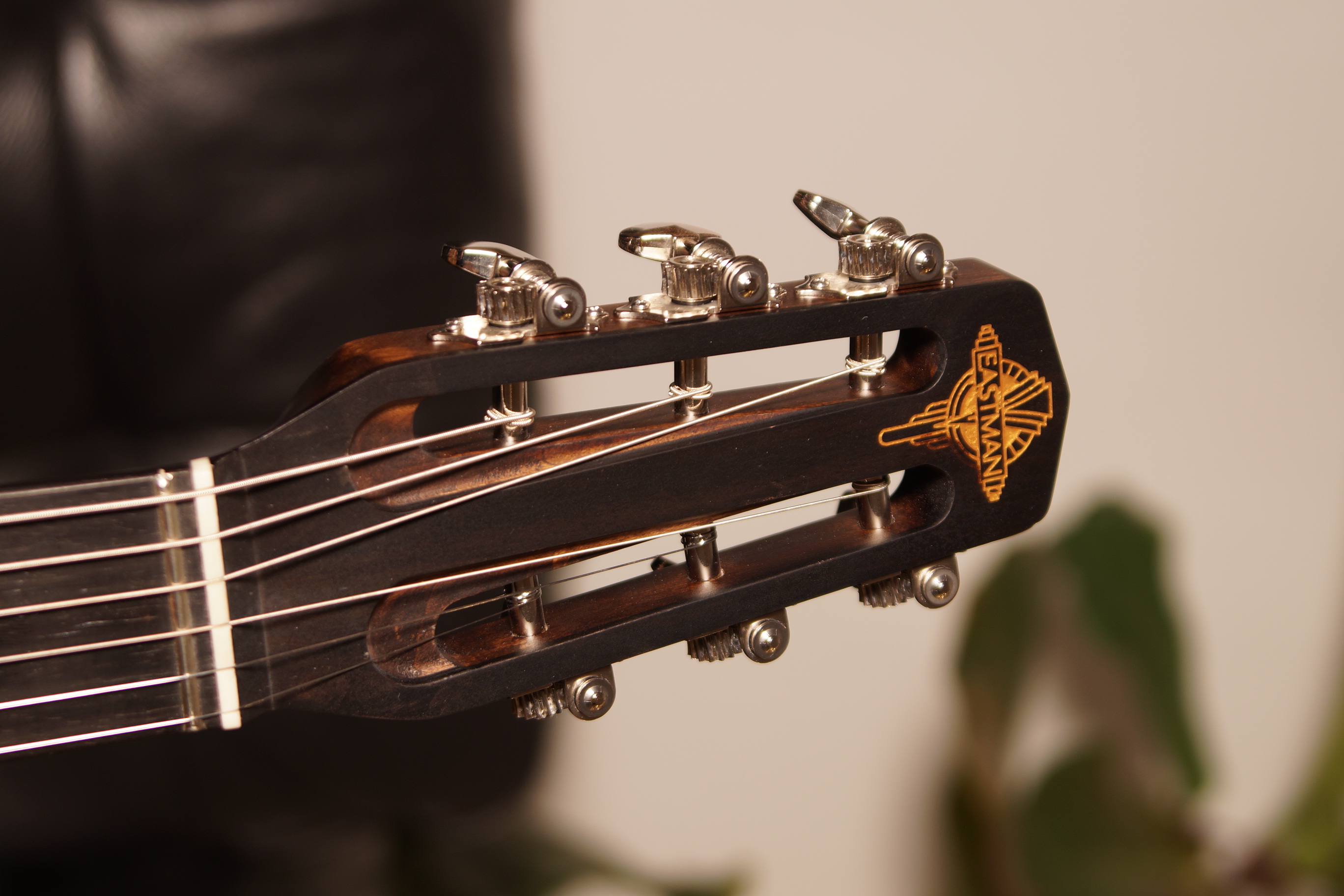 Eastman DM1 Gypsy Jazz