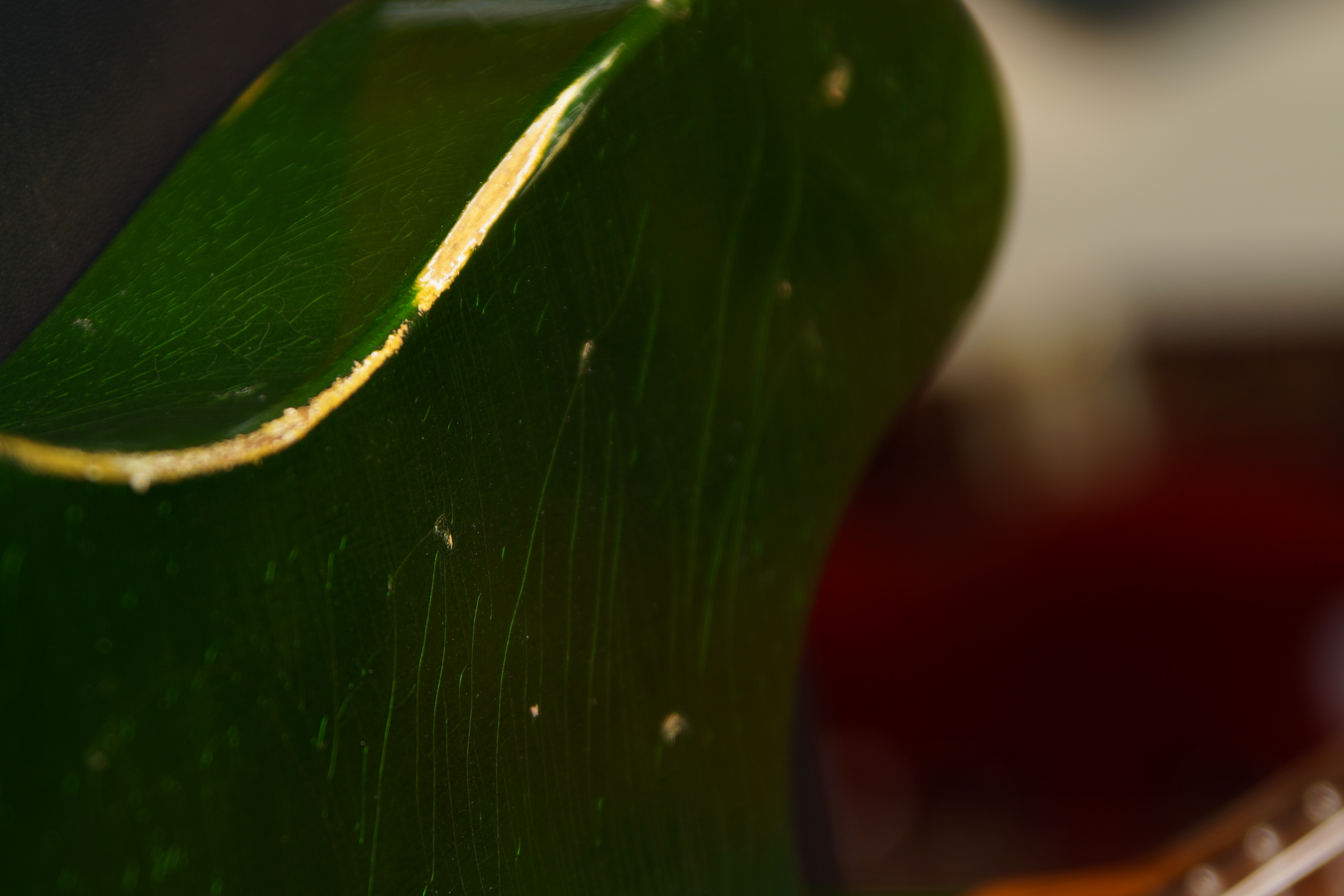 Atkin Electric The Boosh Inverness green aged