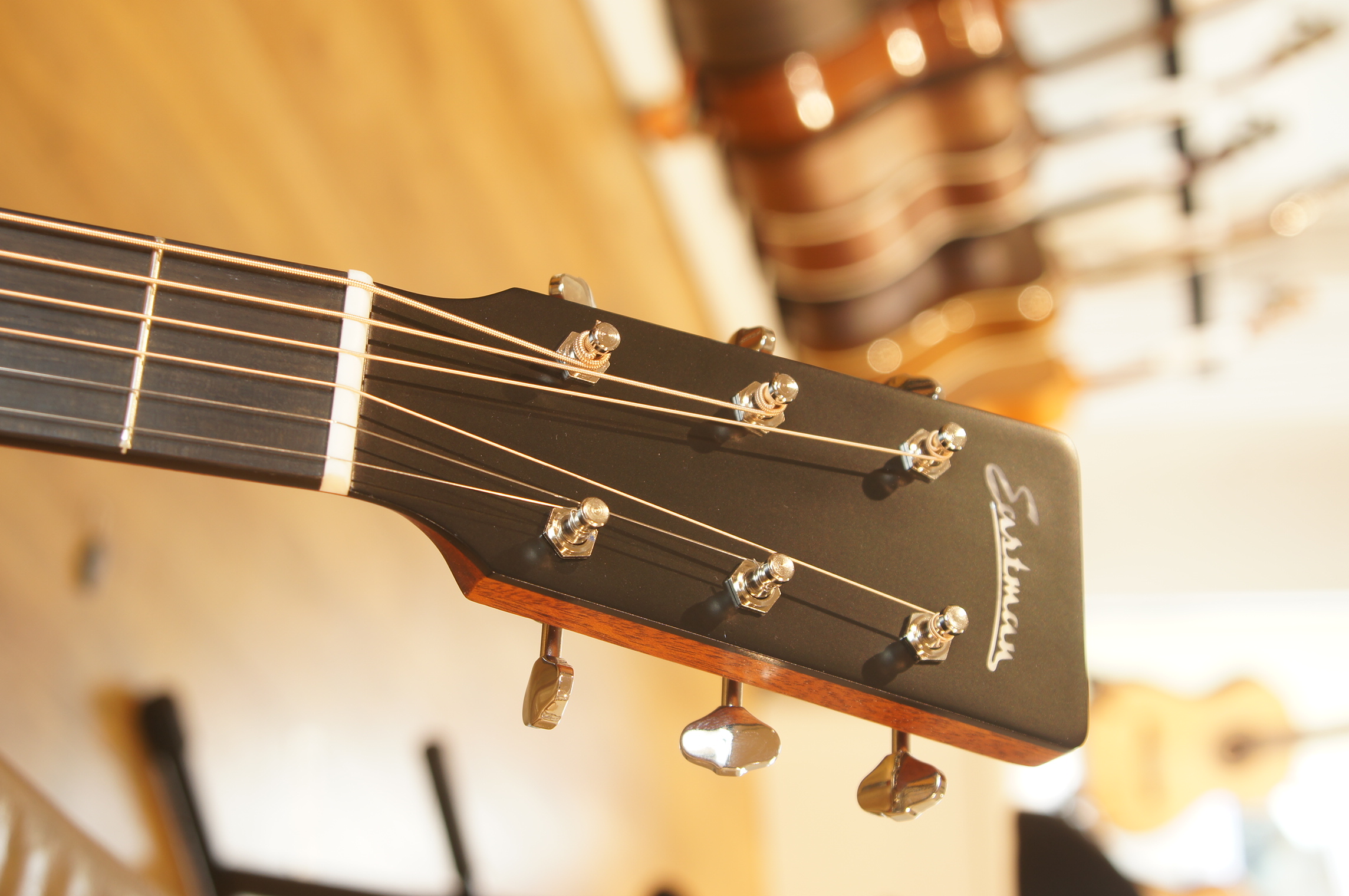 Eastman E1OM-CLA