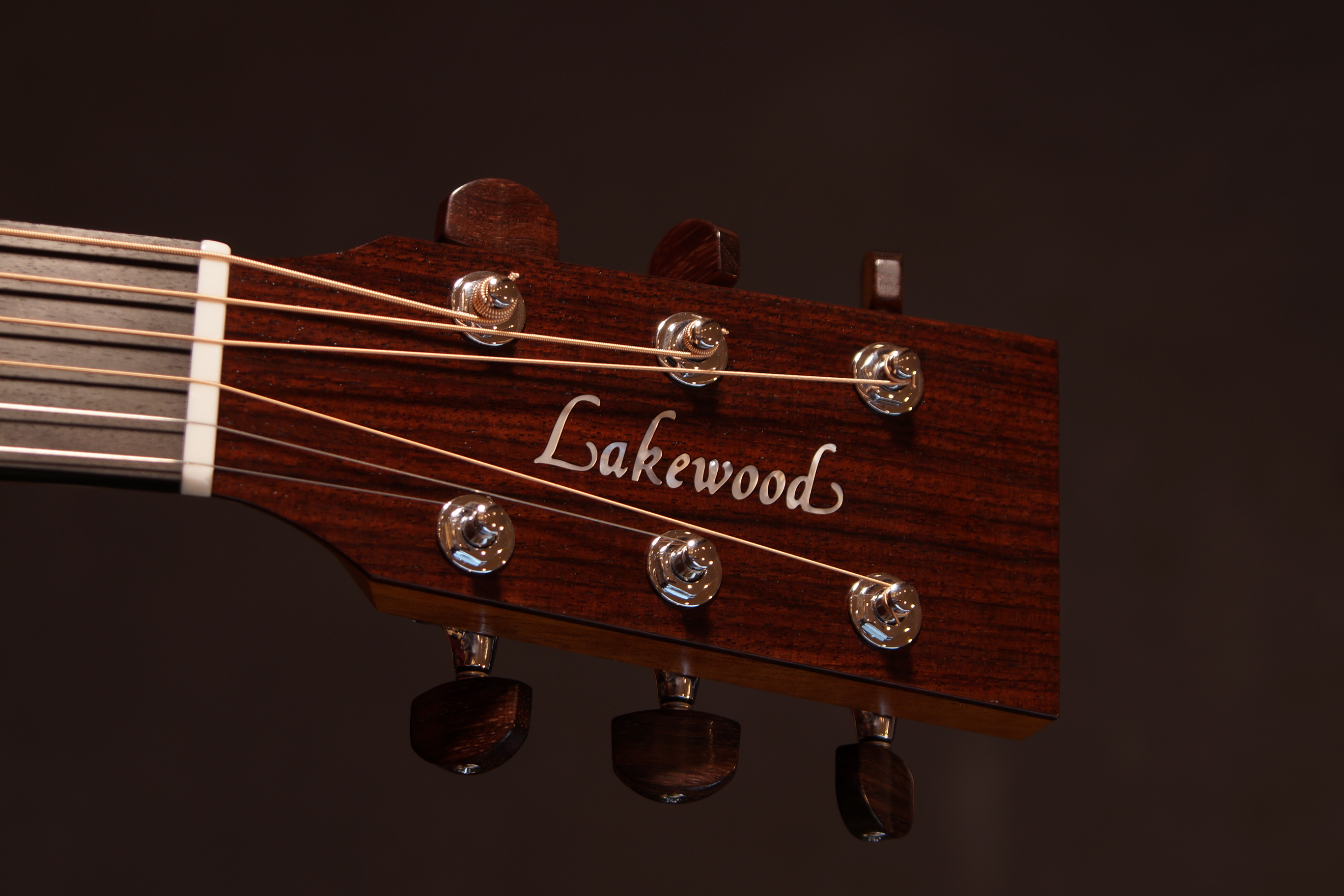 Lakewood M-14 CP 63 Natural mit Gigbag und L.R.Baggs Anthem Pickup