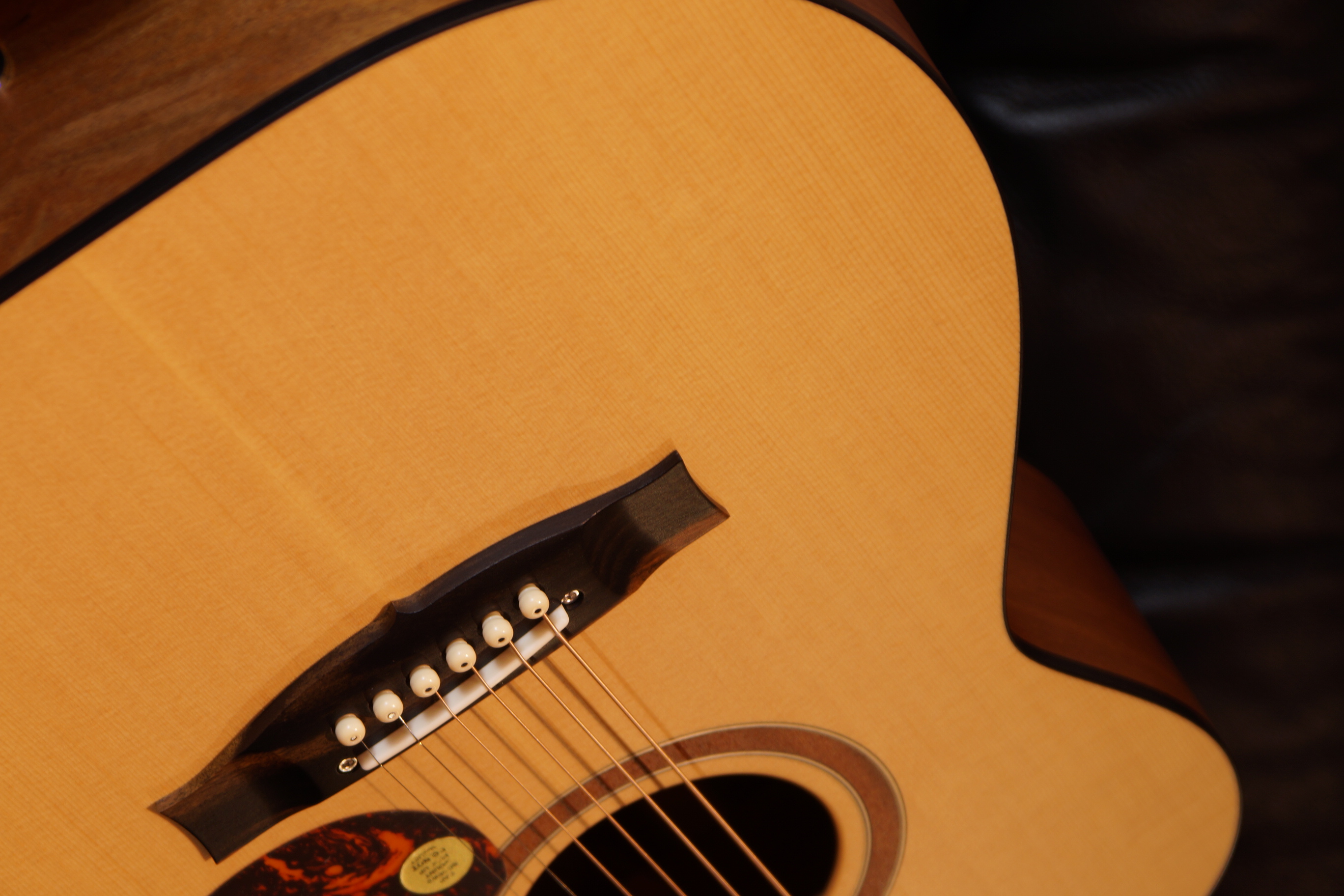 Maton SRS 808