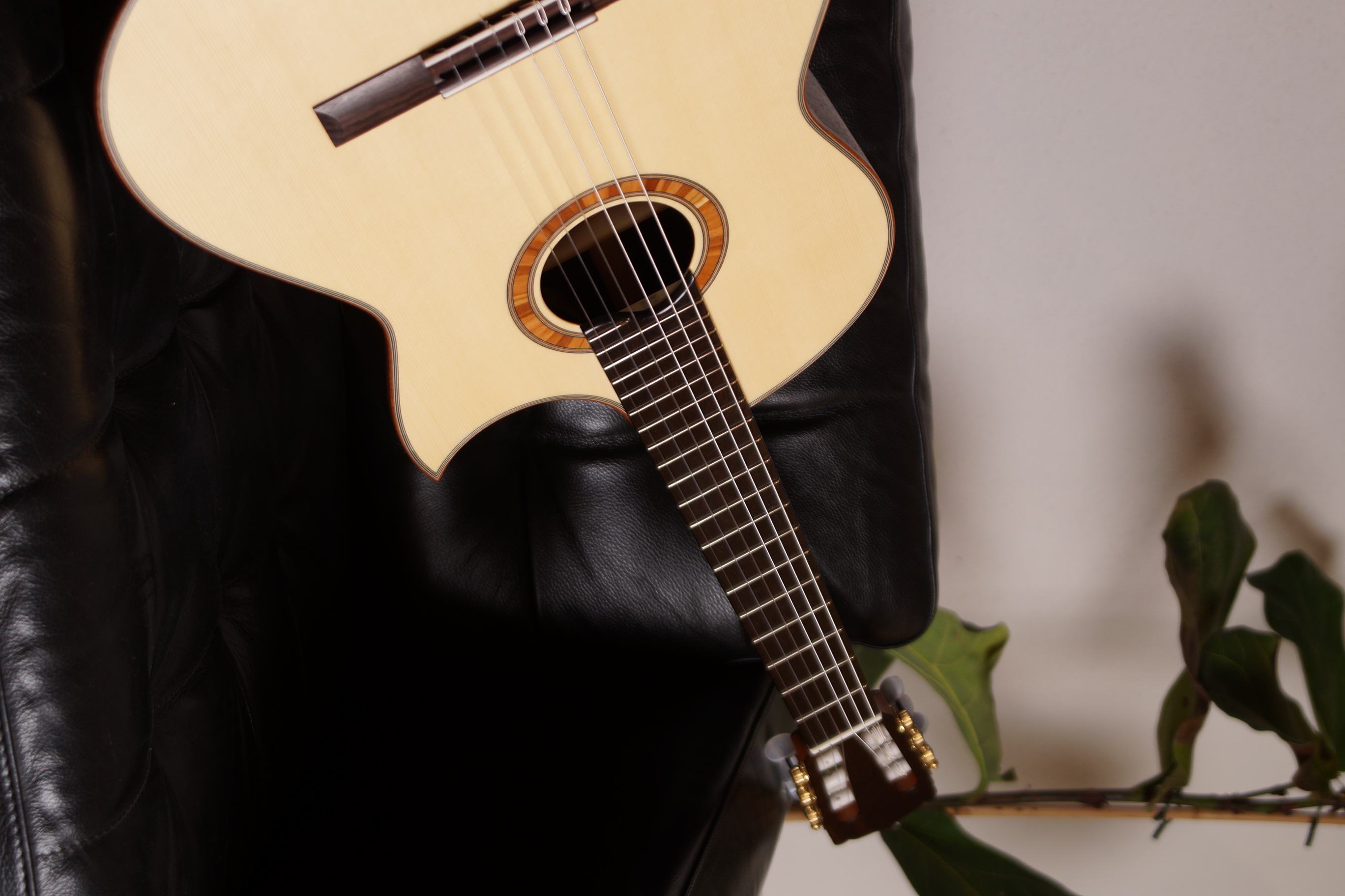 Hanika Basis Cut TEF