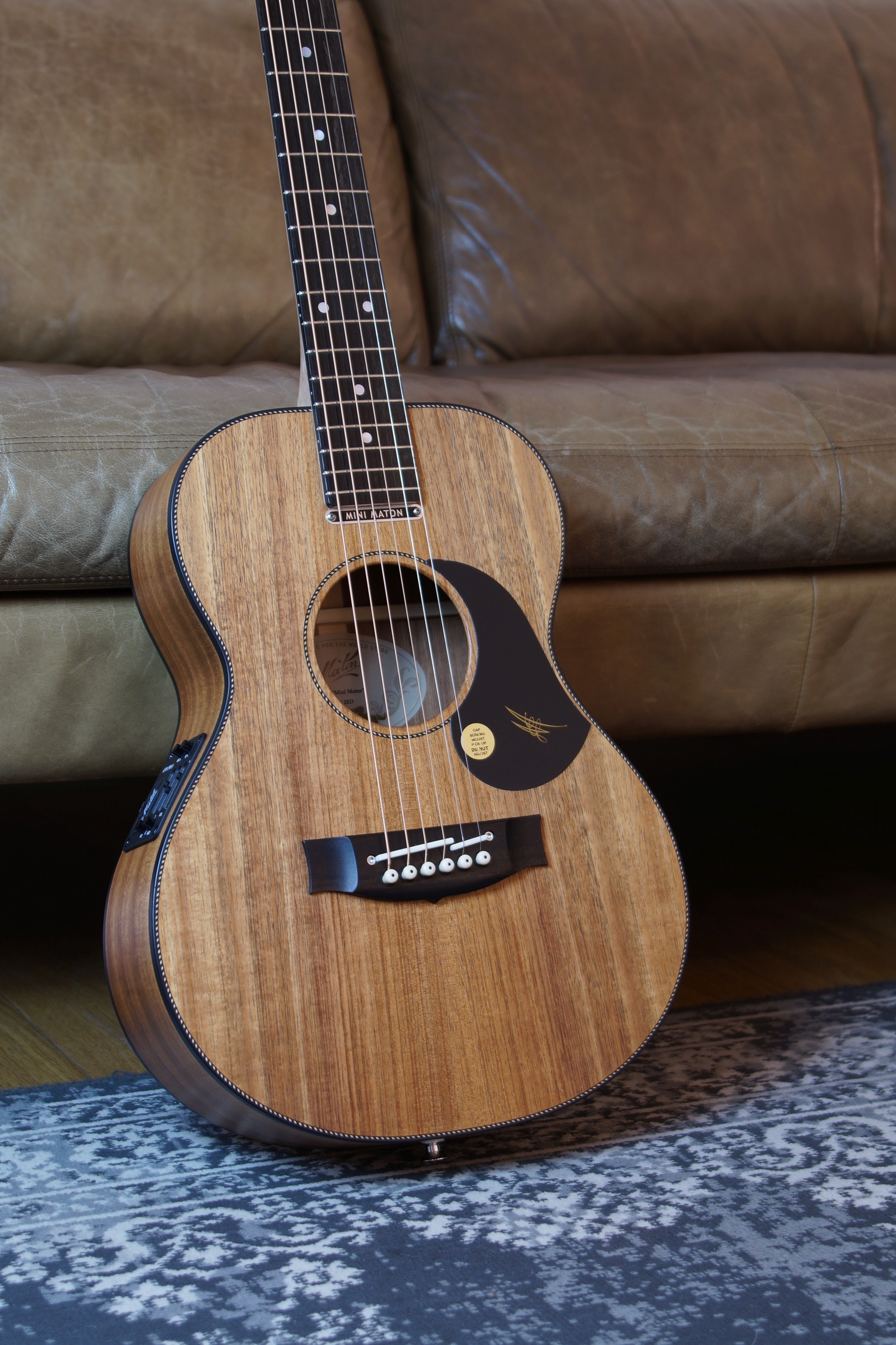 Maton EMBW 6 Mini