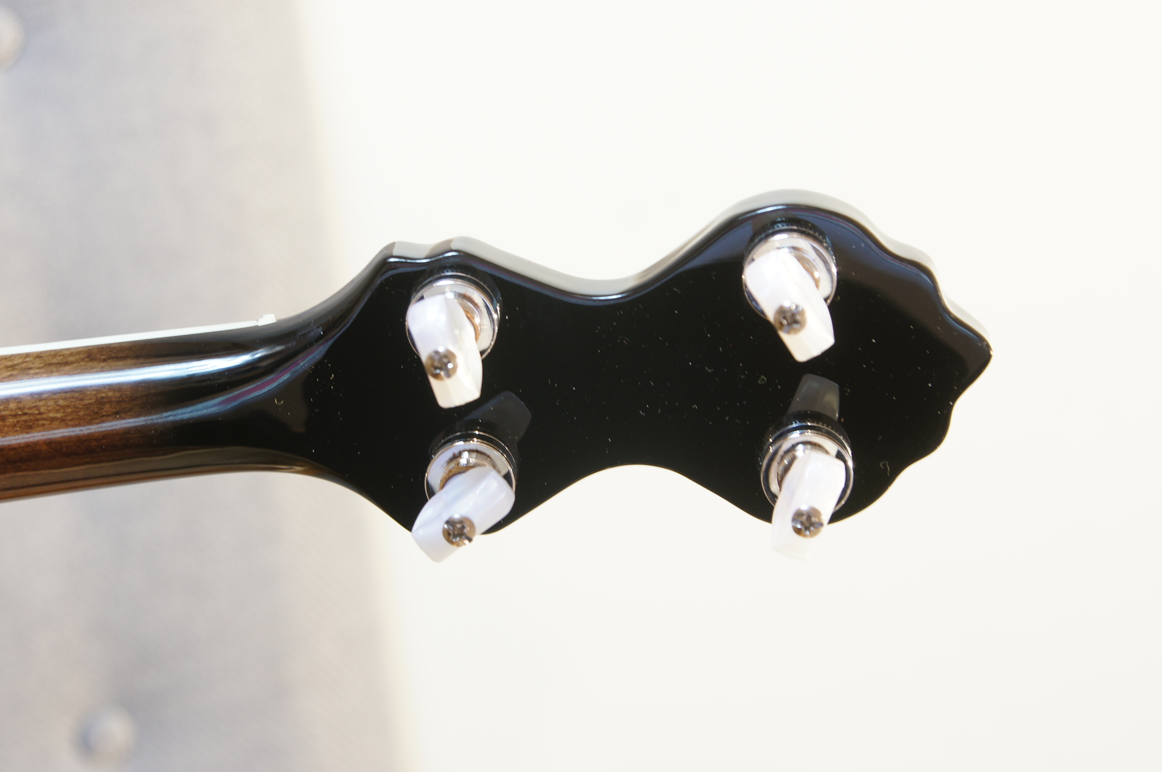 Gold Tone OT-800LN Old Time 5-String Banjo Long Neck - B-Ware