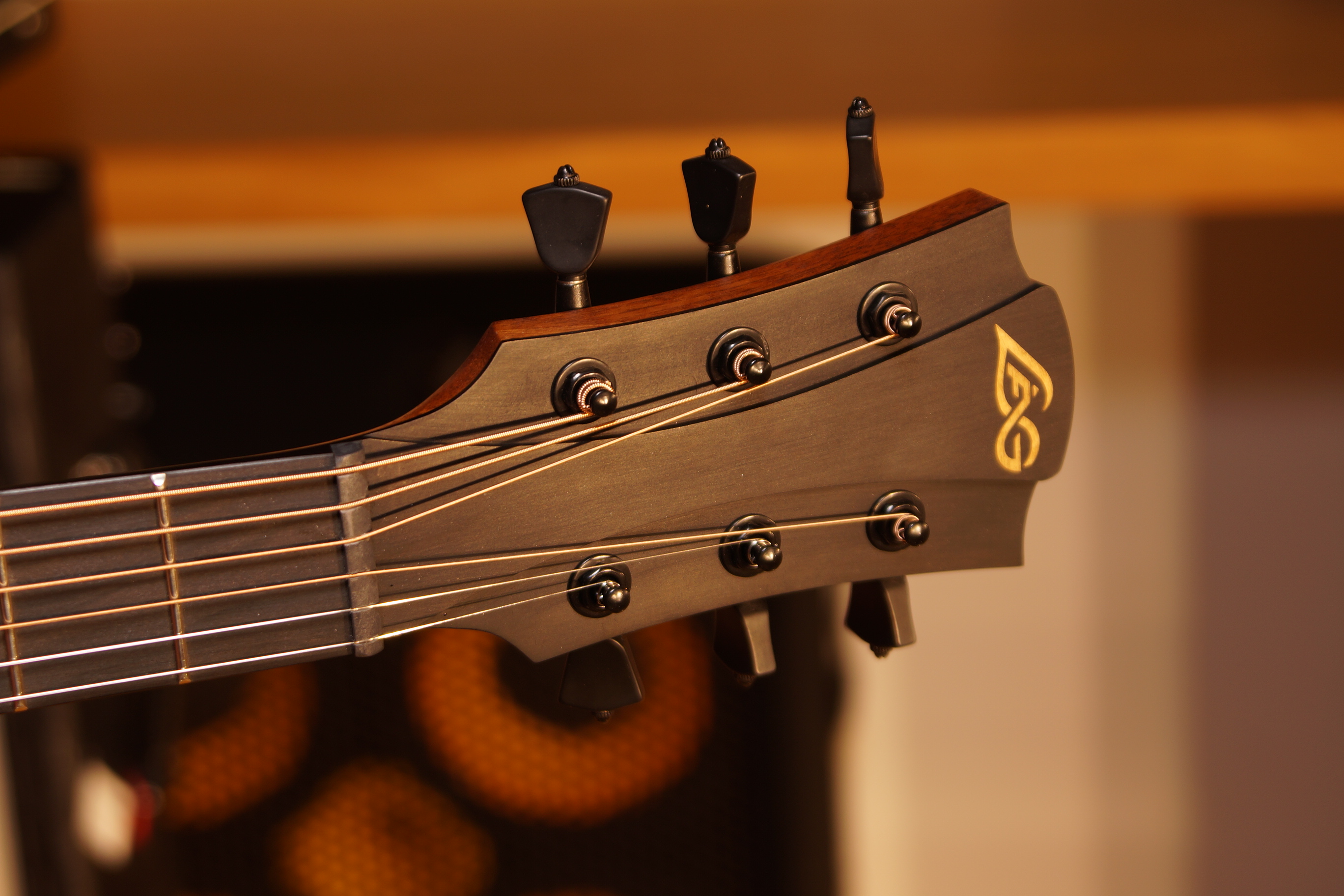 LÂG Sauvage Travel mit Gigbag