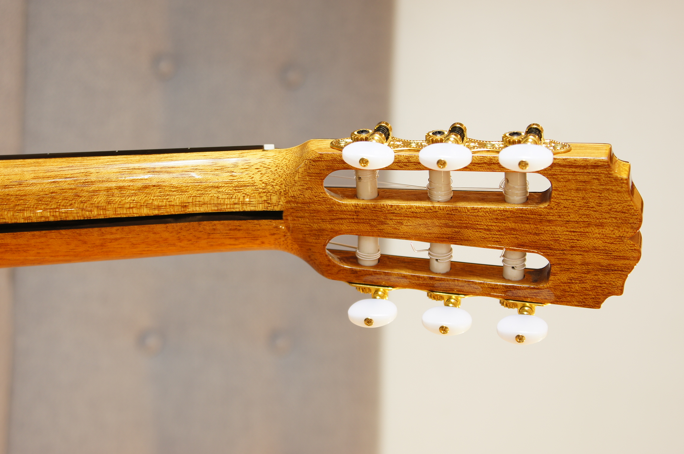 José Alonso 12A - Palisander/Fichte vollmassiv mit Carbon verstärkter Fächerbeleistung