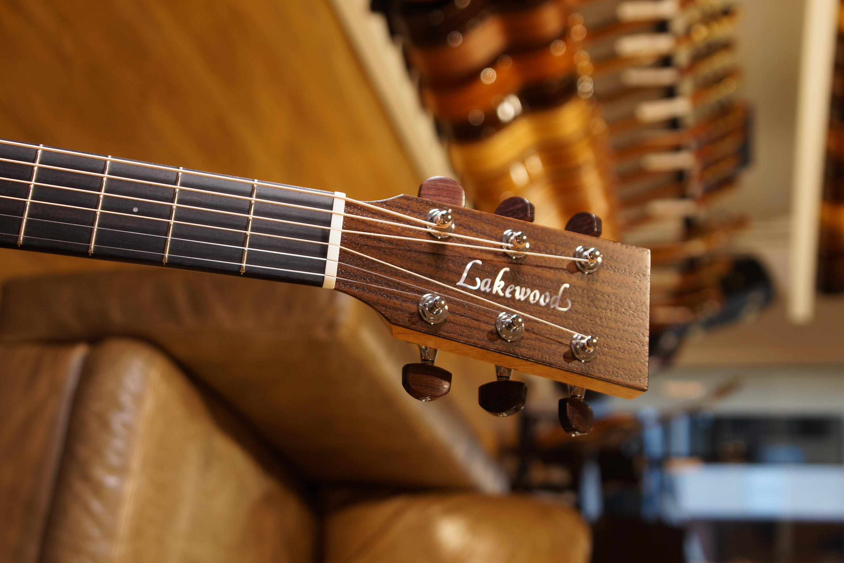 Lakewood M-14 CP 63 Natural mit Gigbag und L.R.Baggs Anthem Pickup