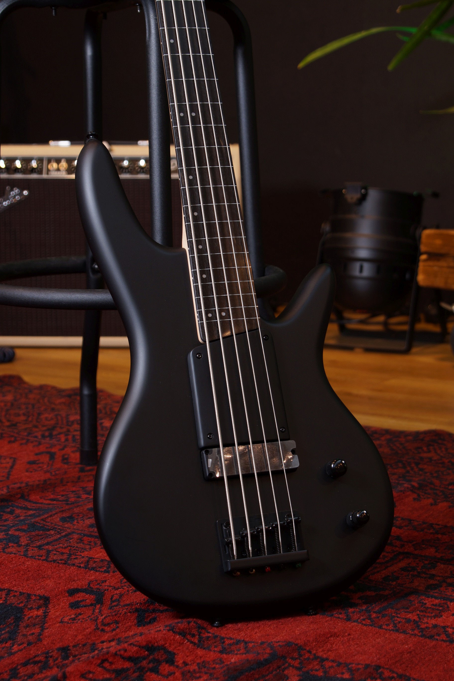 IBANEZ Gary Willis Signature E-Bass 5-String Fretless - Black Flat