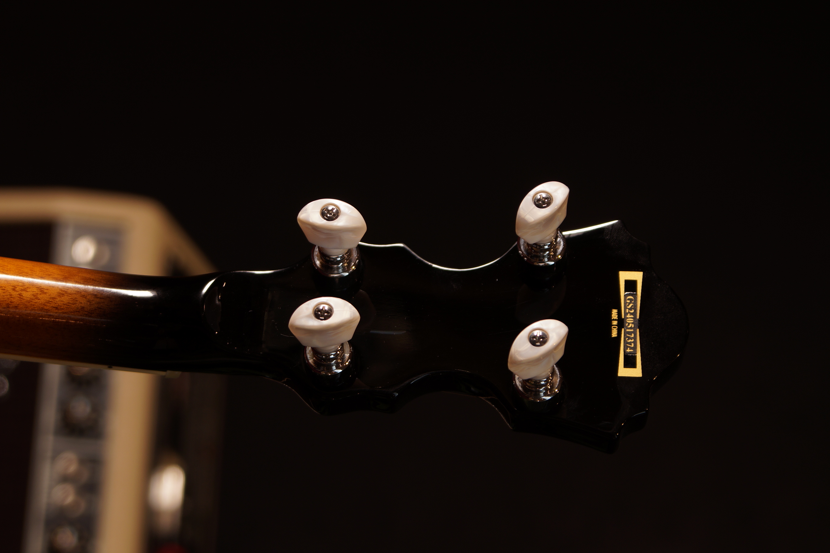 IBANEZ Banjo 5-String
