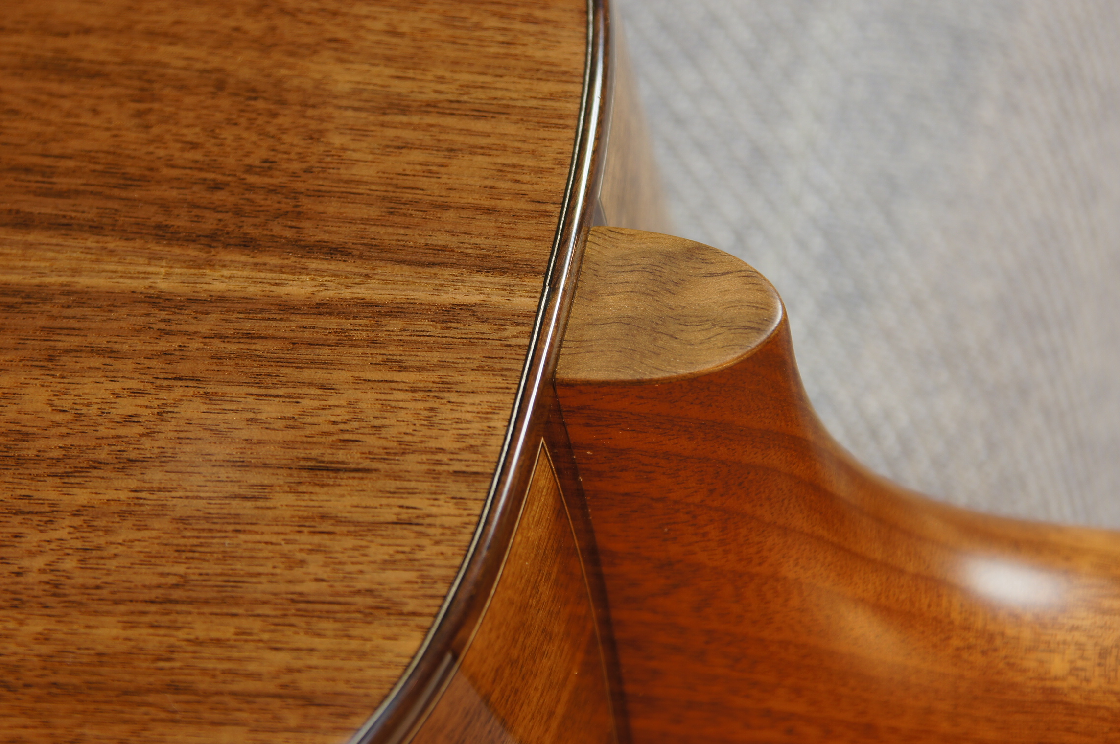 BSG P 12 Parlor Walnuss / Torrified Fichte