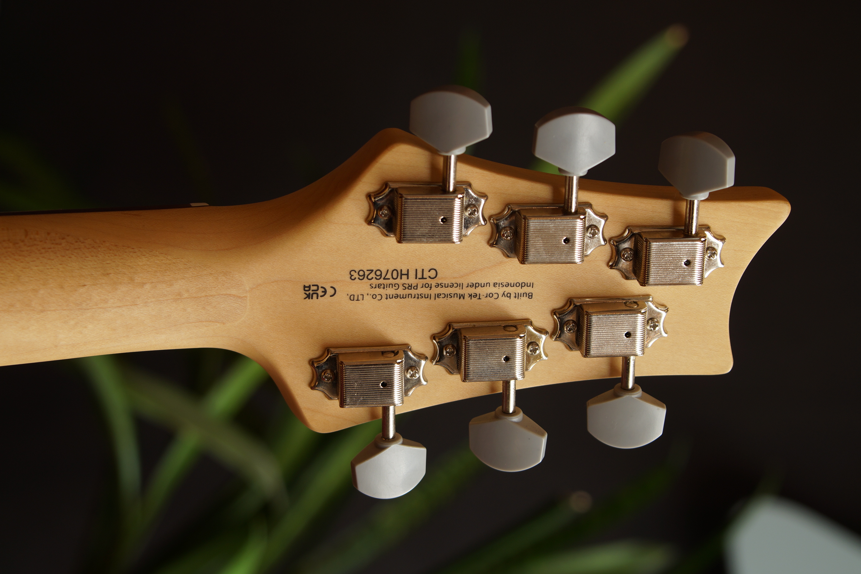 PRS SE Silver Sky Rosewood Dandy Lion