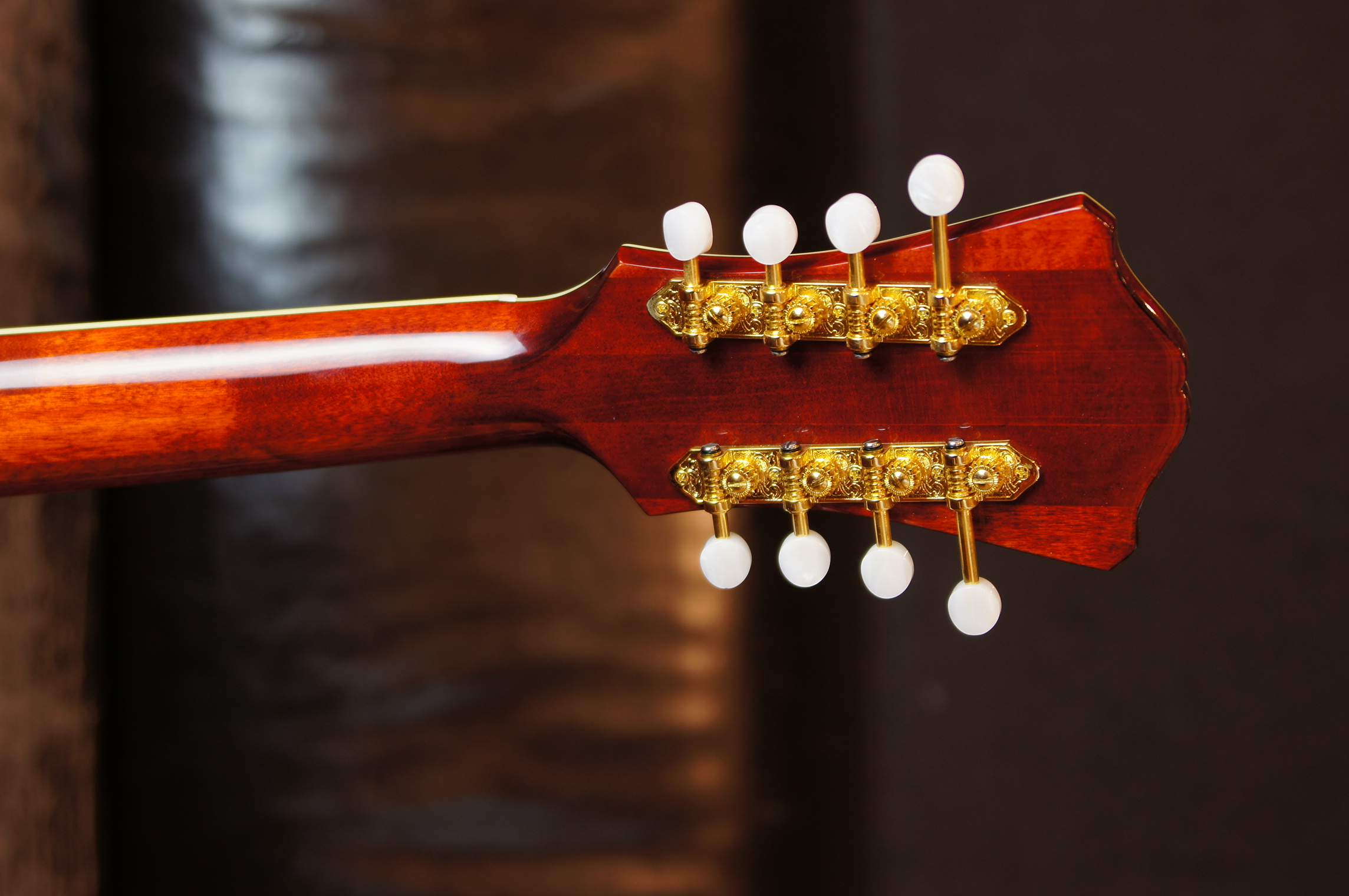 Eastman MDC804 Mandocello