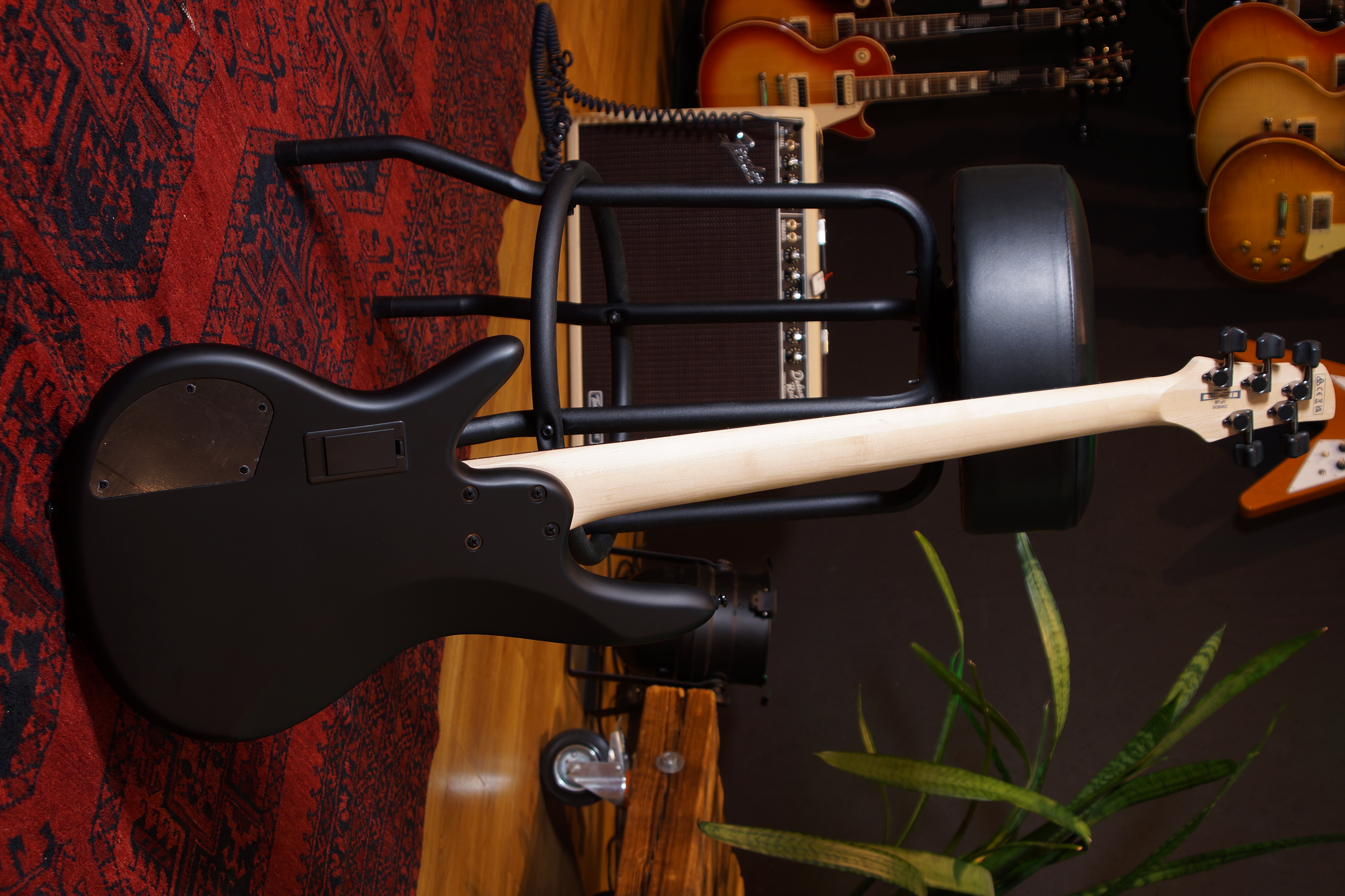 IBANEZ Gary Willis Signature E-Bass 5-String Fretless - Black Flat